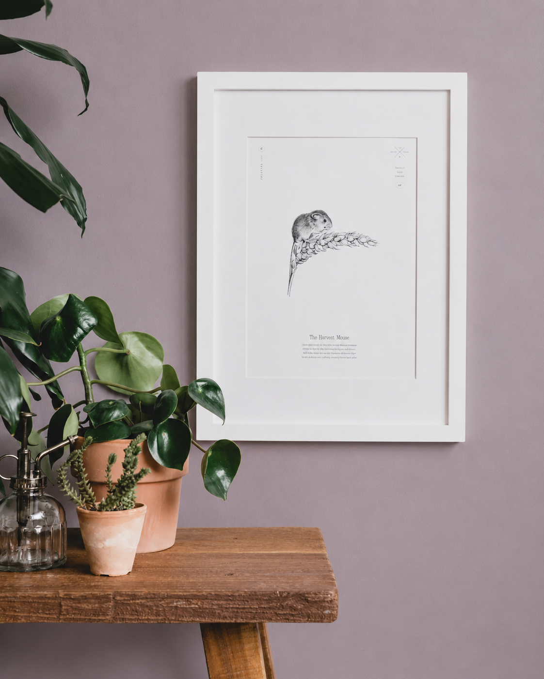 Harvest Mouse Print