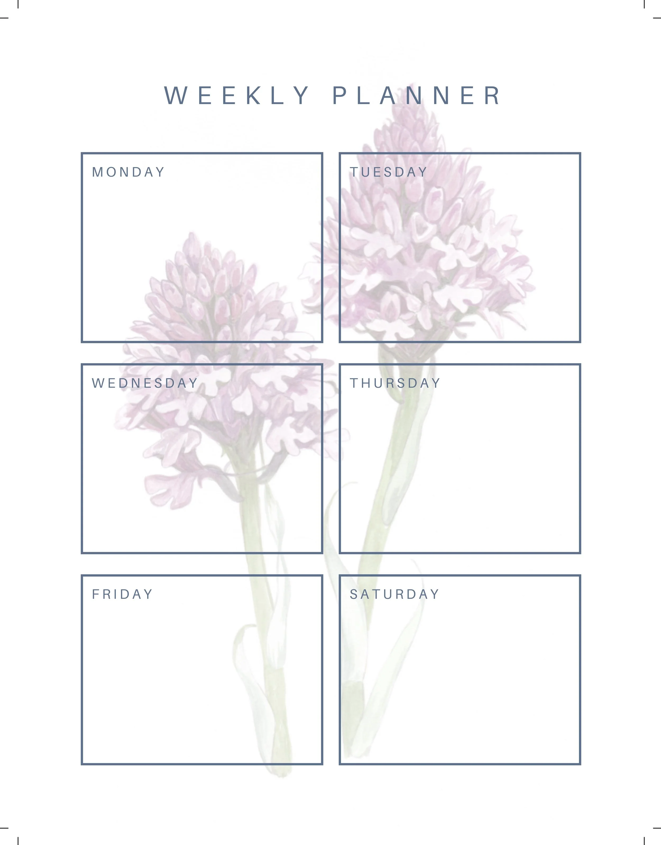Creature Candy Weekly Planner Orchid.jpg