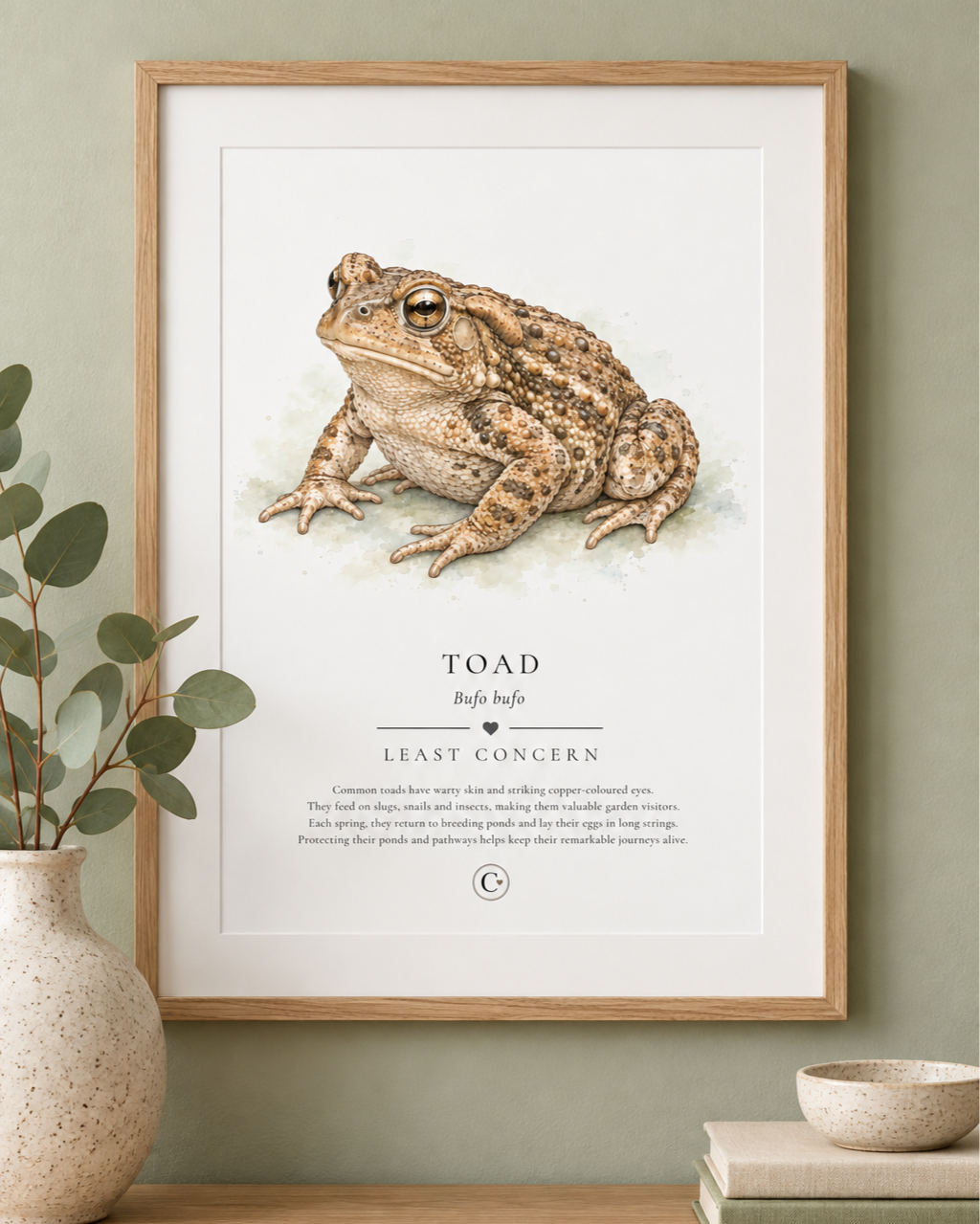 Toad+Didital+print+Pack+Shot.png