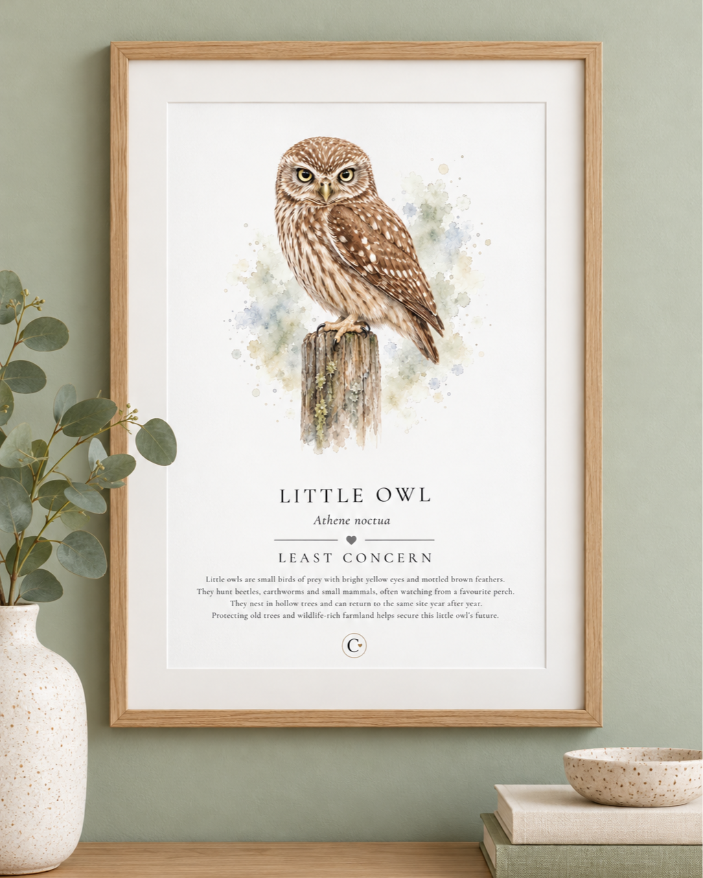 Little+owl+digital+print+pack+shot.png