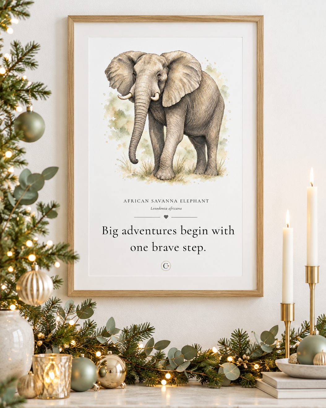Elephant+digital+print+pack+shot.png