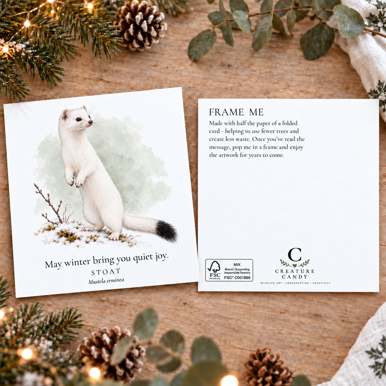 Stoat christmas postcards pack shot.PNG