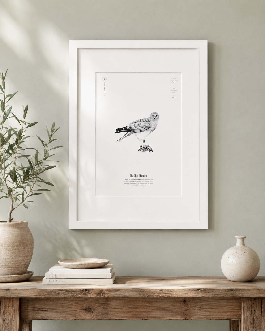 Print hen harrier.PNG
