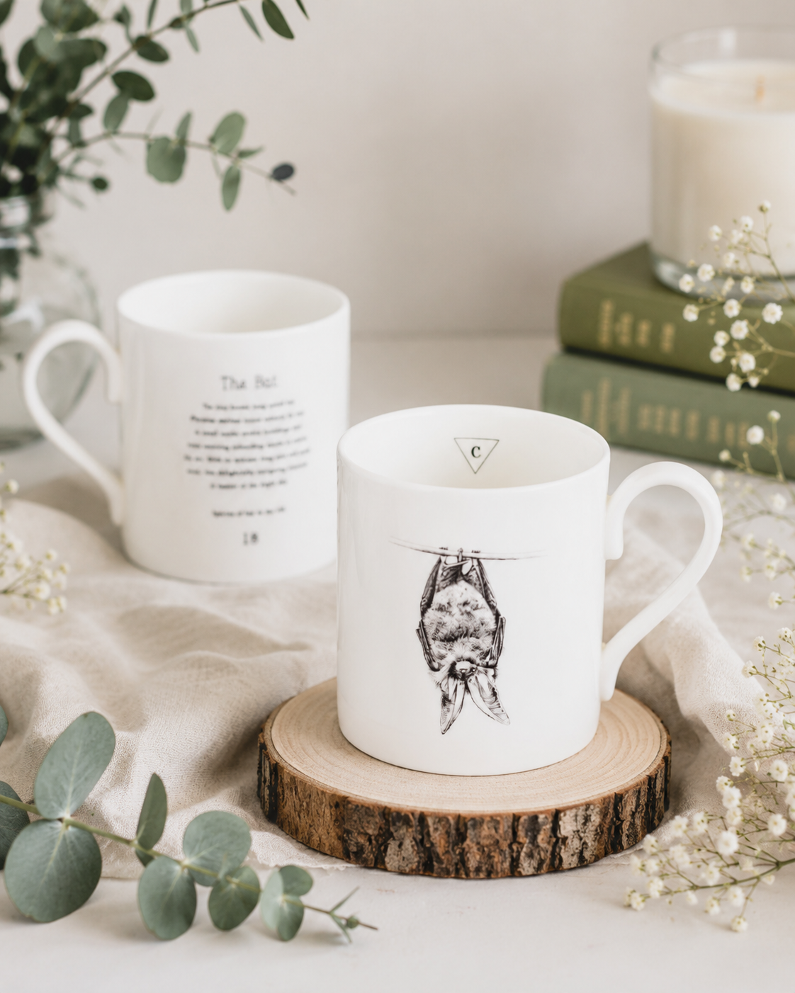 mug long eared bat.PNG