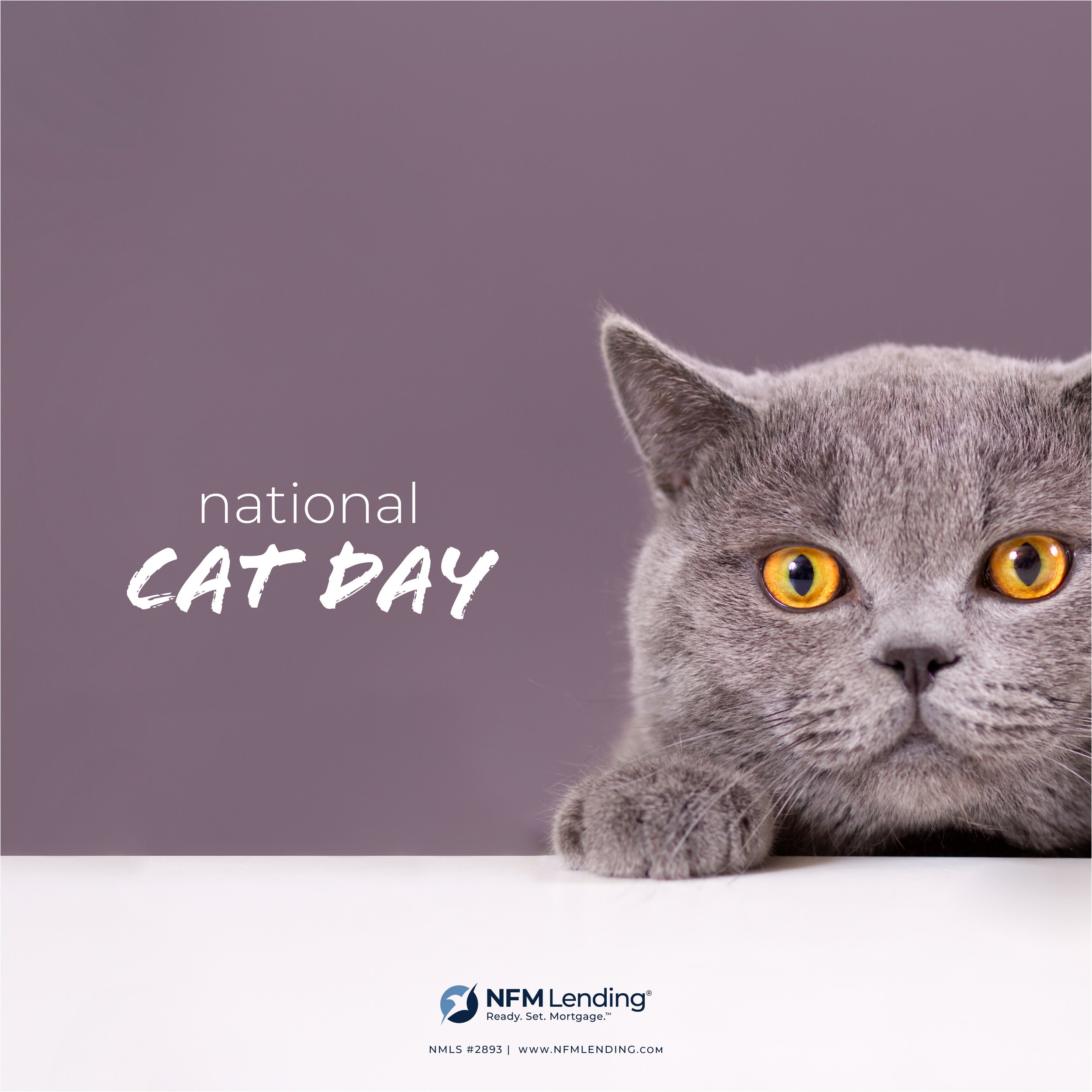 Cat Day_SocialMedia_10.2021_CORP.jpg