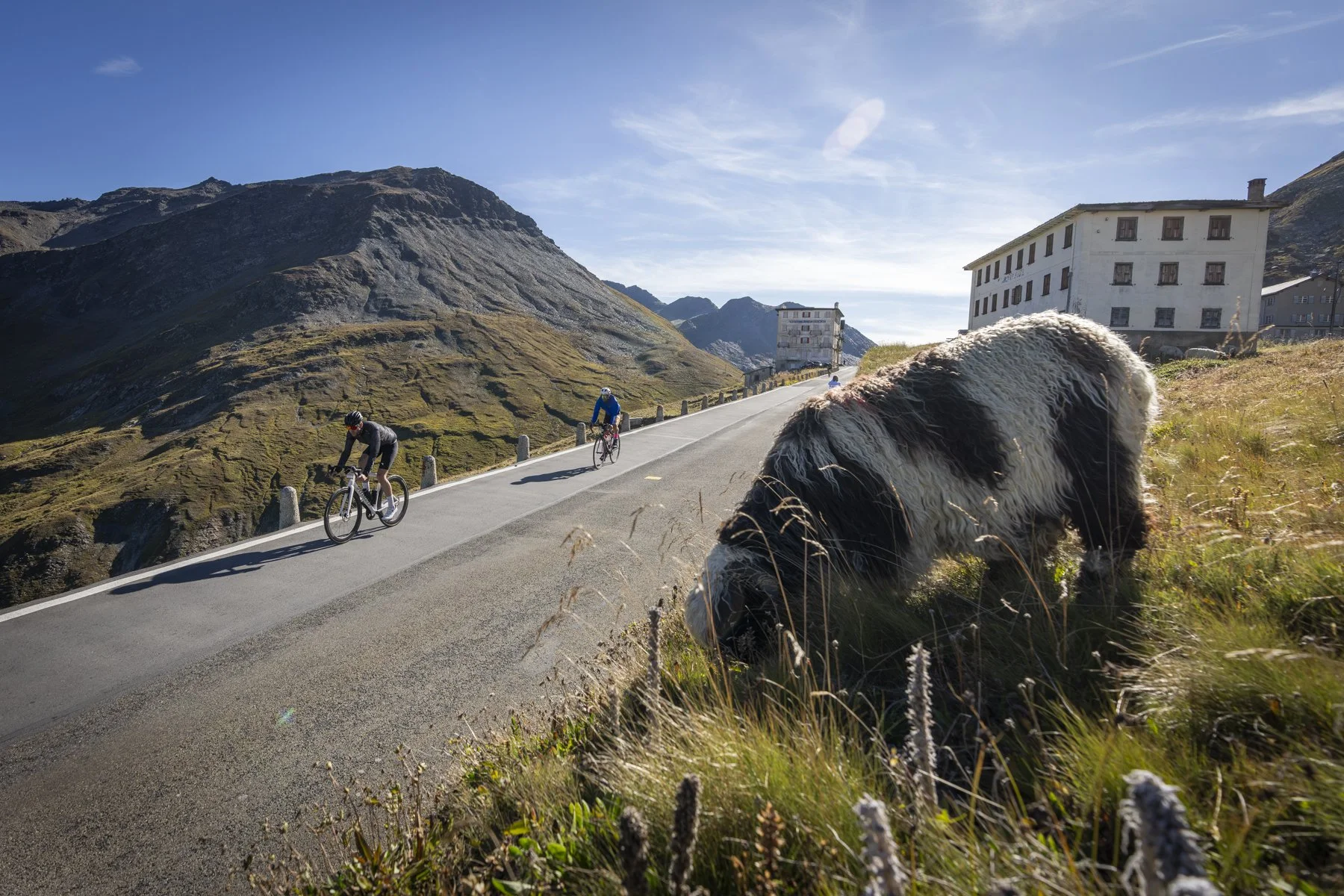 Alpenbrevet_25_1339 .JPG