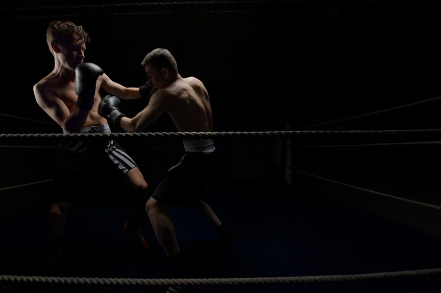 32_boxer.jpg