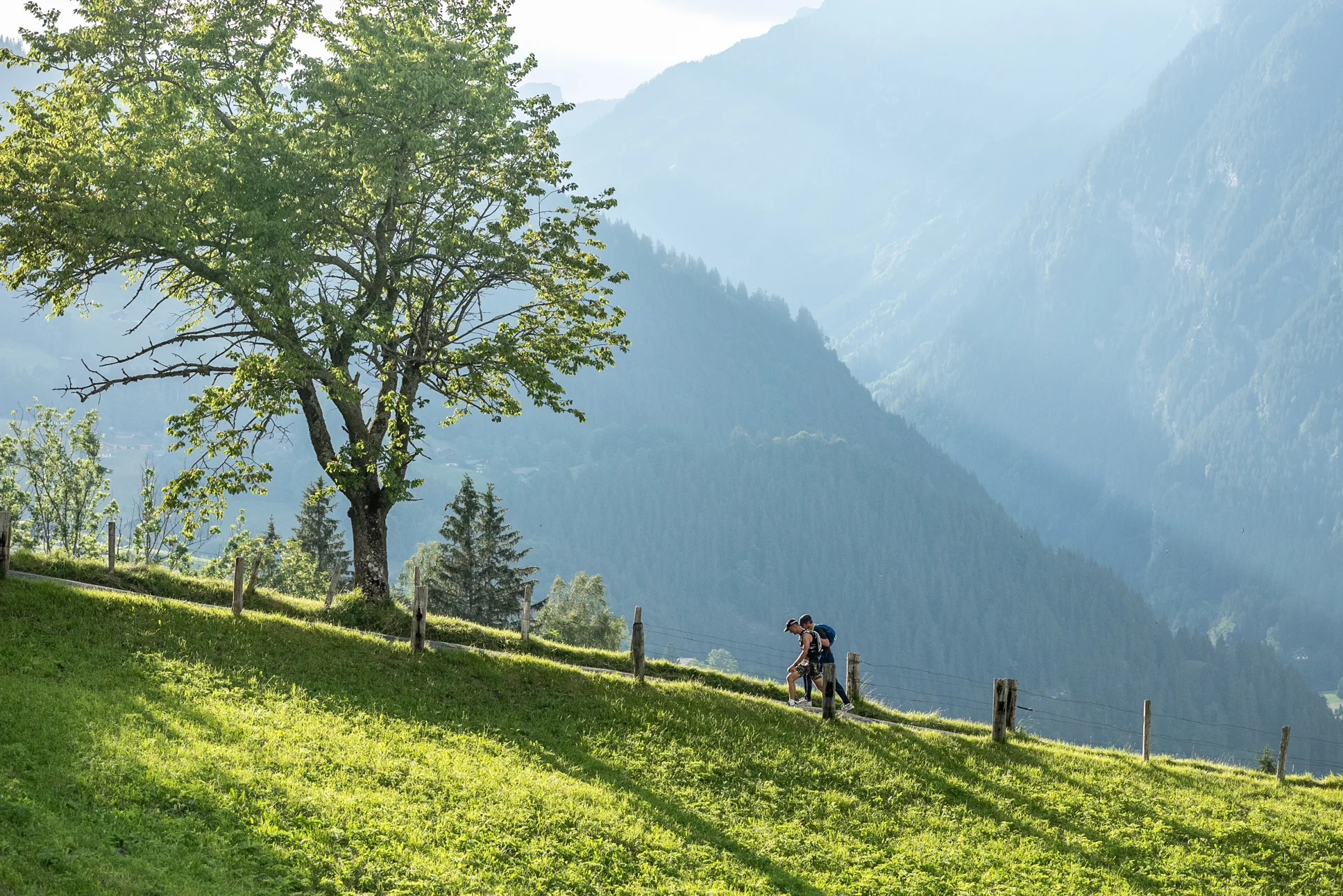 Swissman_2018_90_sambuchli.jpg
