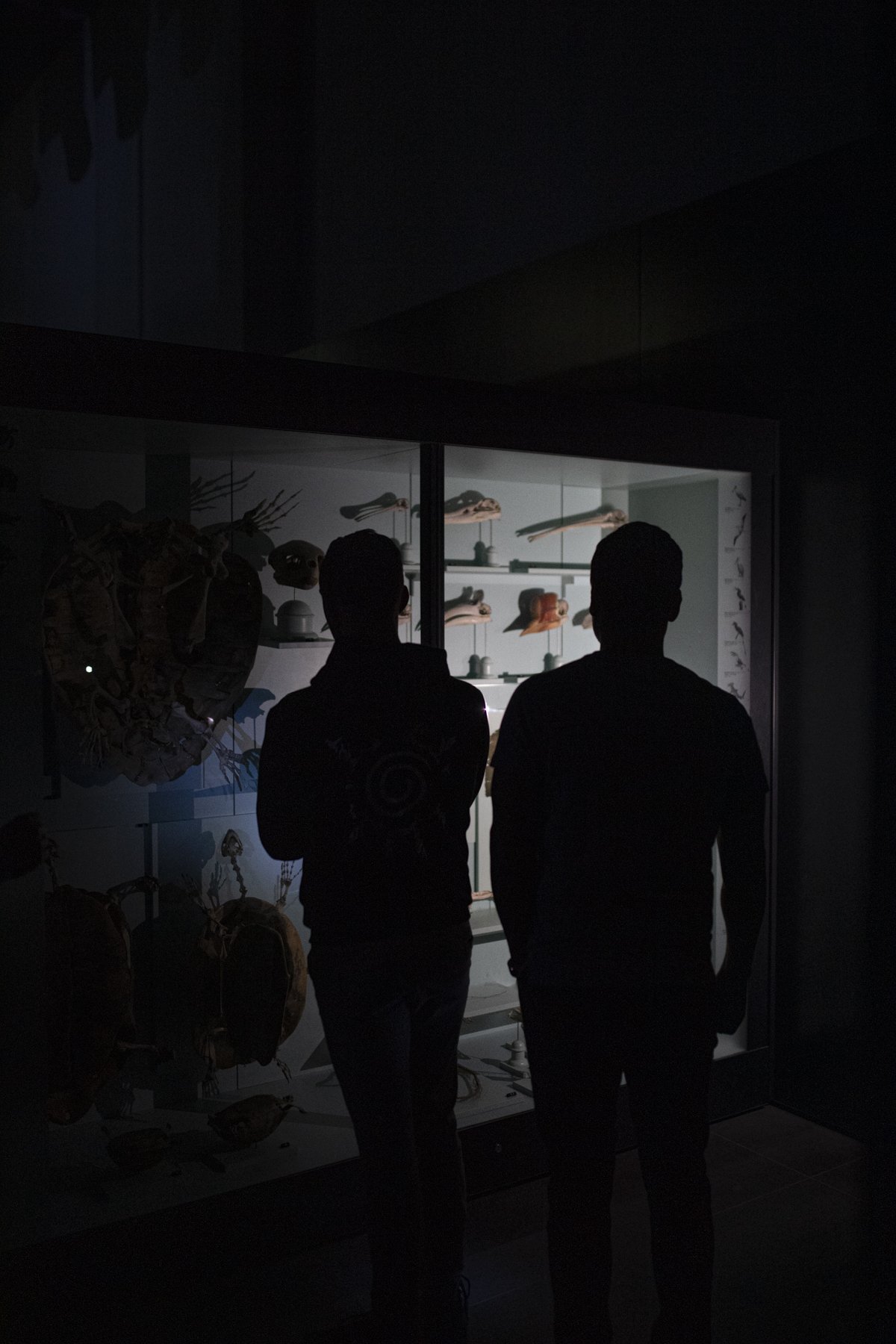 Museumsnacht_Bern_0273 .JPG