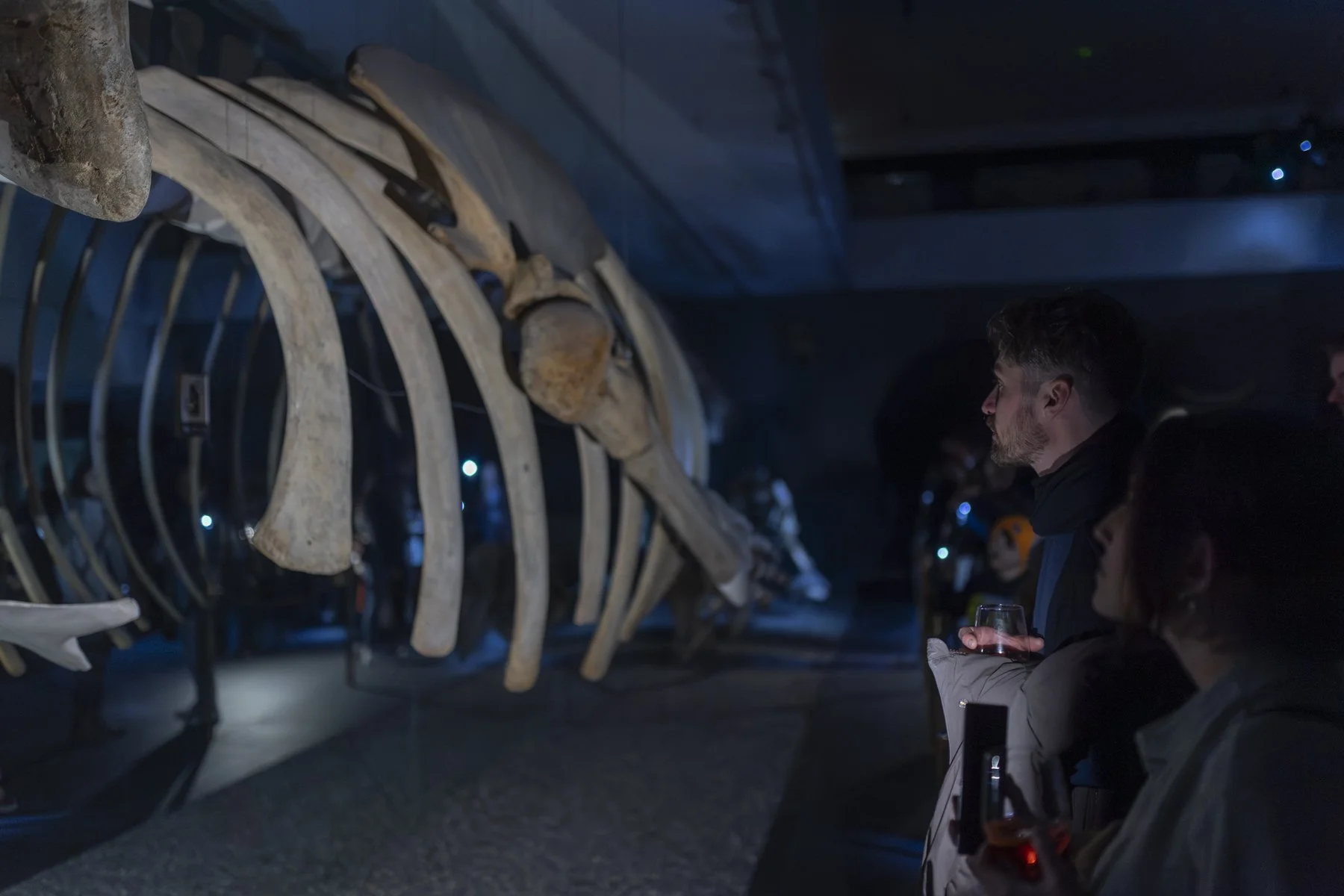 Museumsnacht_Bern_0272 .JPG