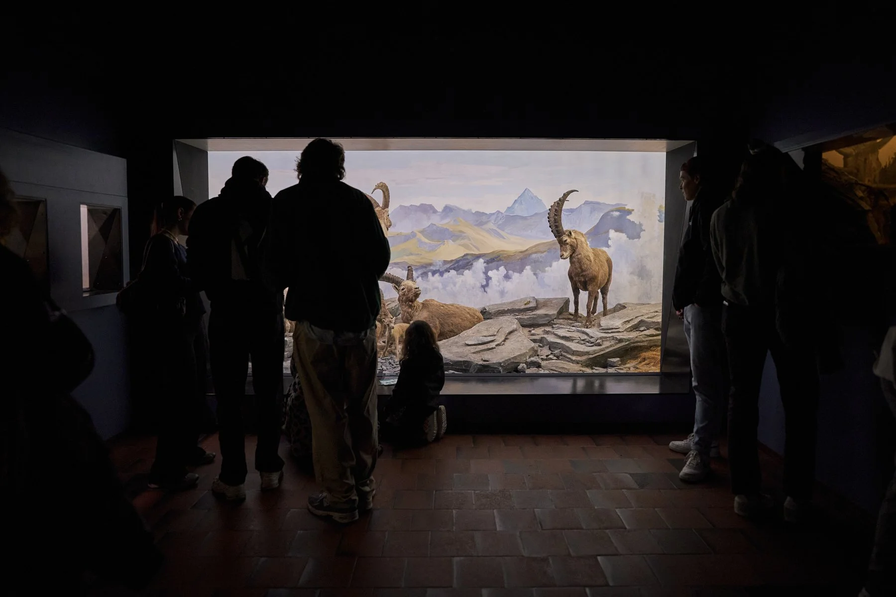 Museumsnacht_Bern_0314 .JPG