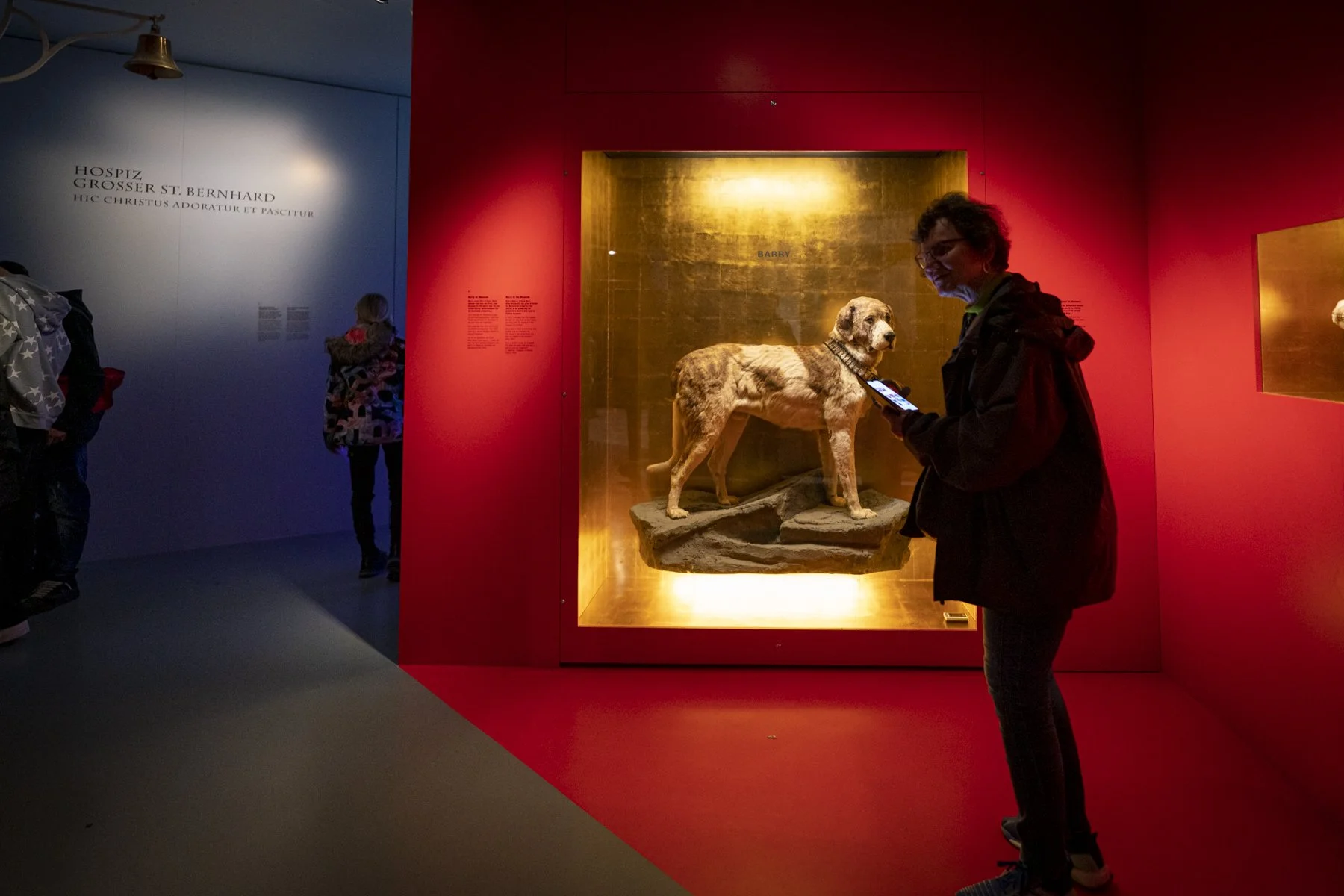 Museumsnacht_Bern_0290 .JPG