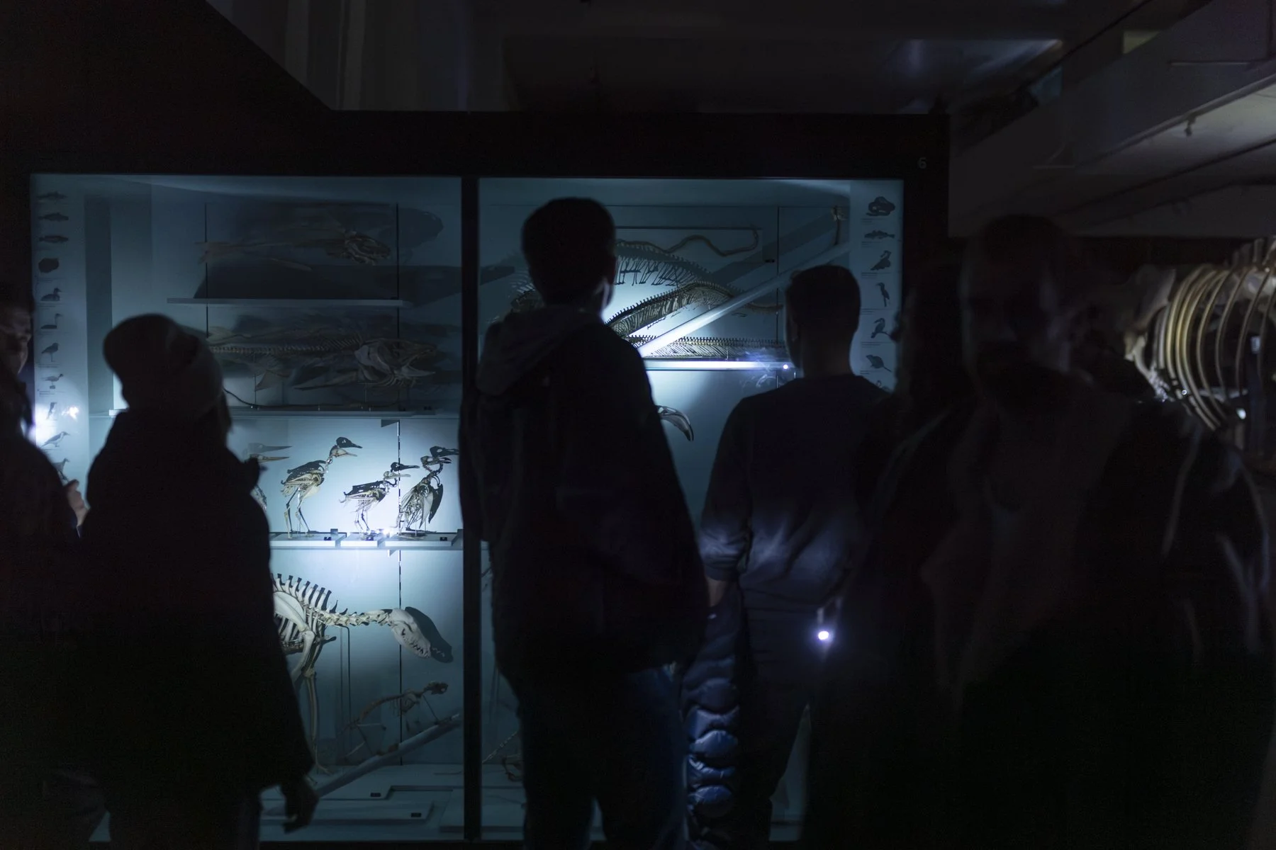 Museumsnacht_Bern_0275 .JPG