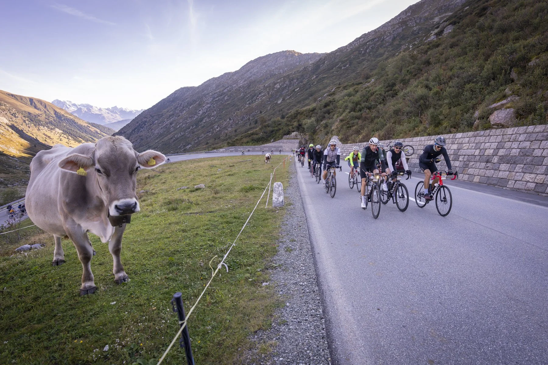 Alpenbrevet_25_1292 .JPG