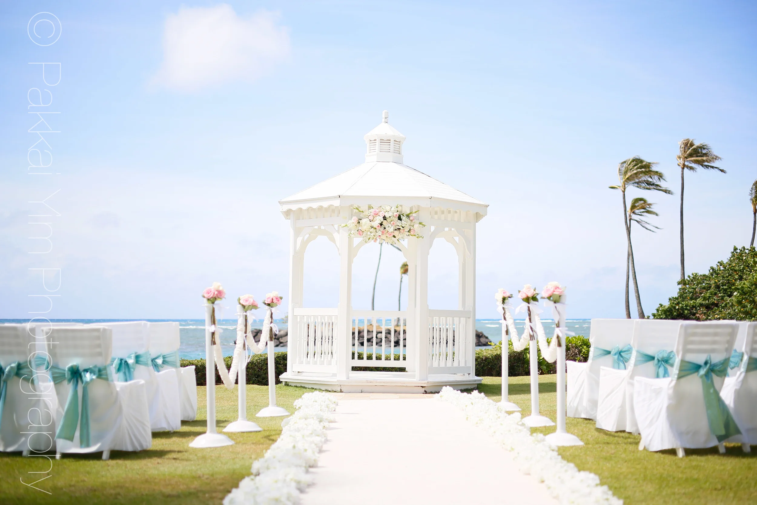 ハワイ パッカイ イム フォトグラフィー ハワイ