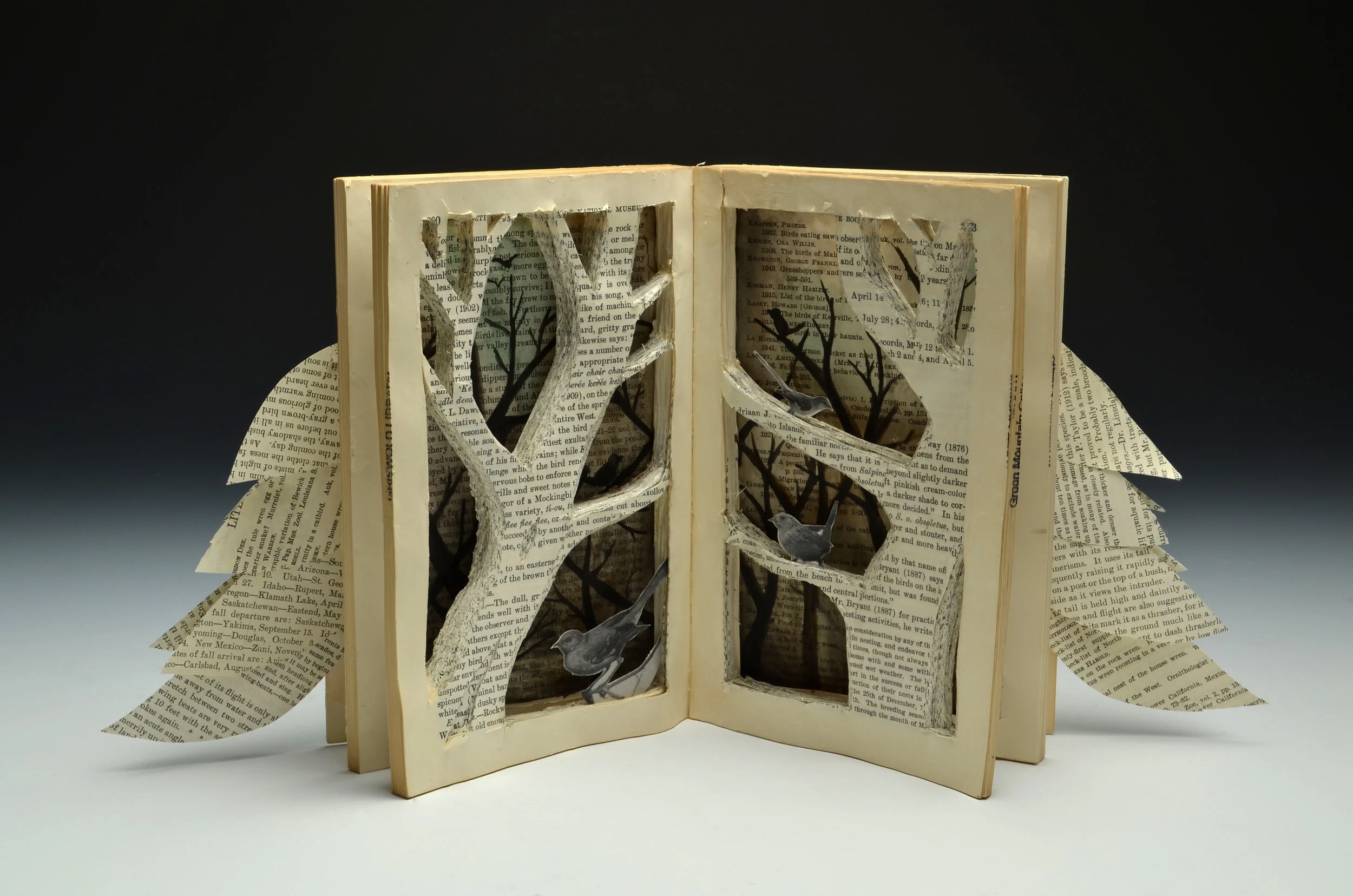 Claire Chapman, “Flight”, Recycled book, glue, ink, Recycle Re-use Reinvent, 2018