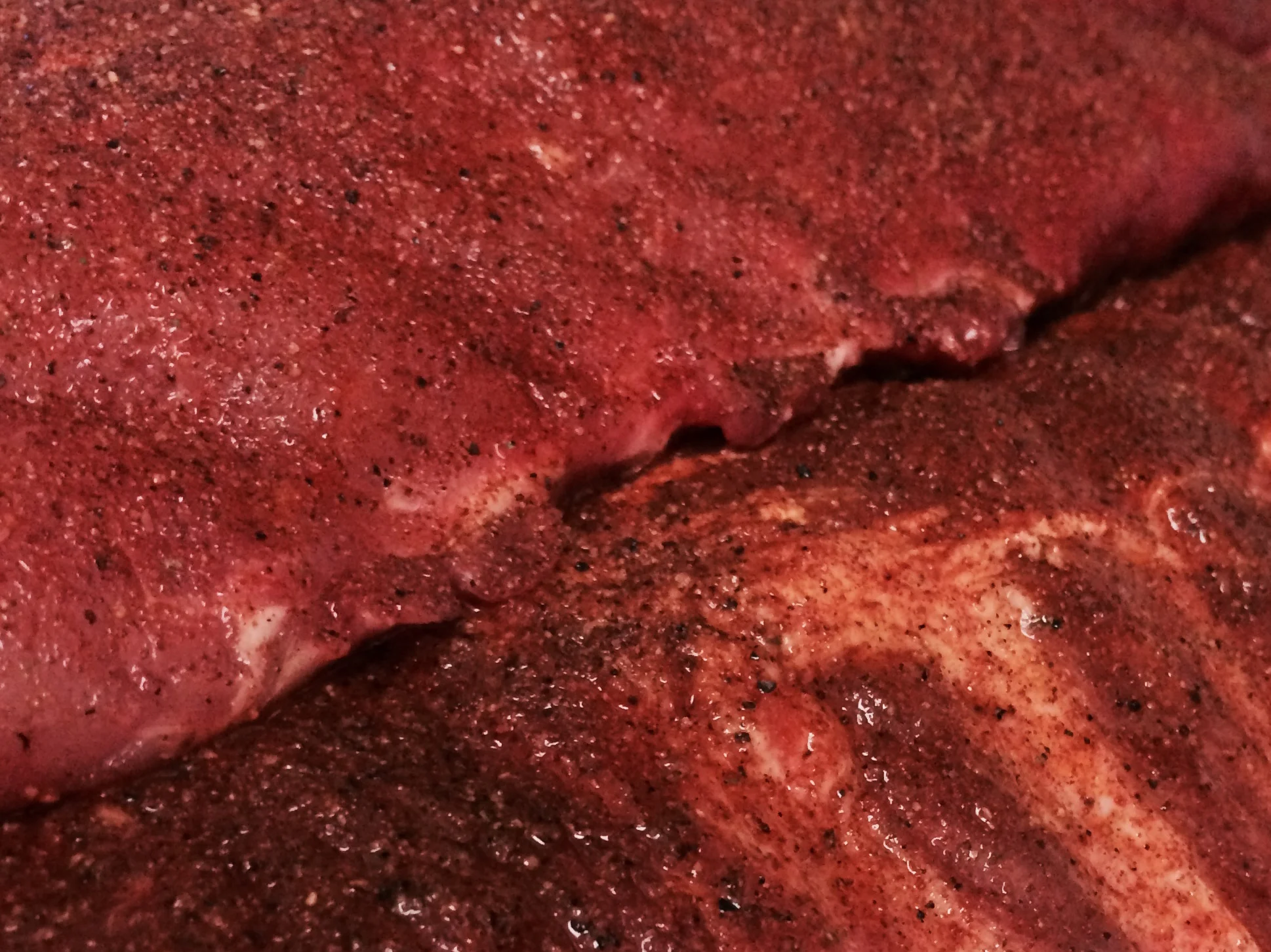 Ribs pre smoke.jpg