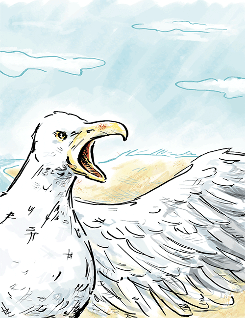The Seagull