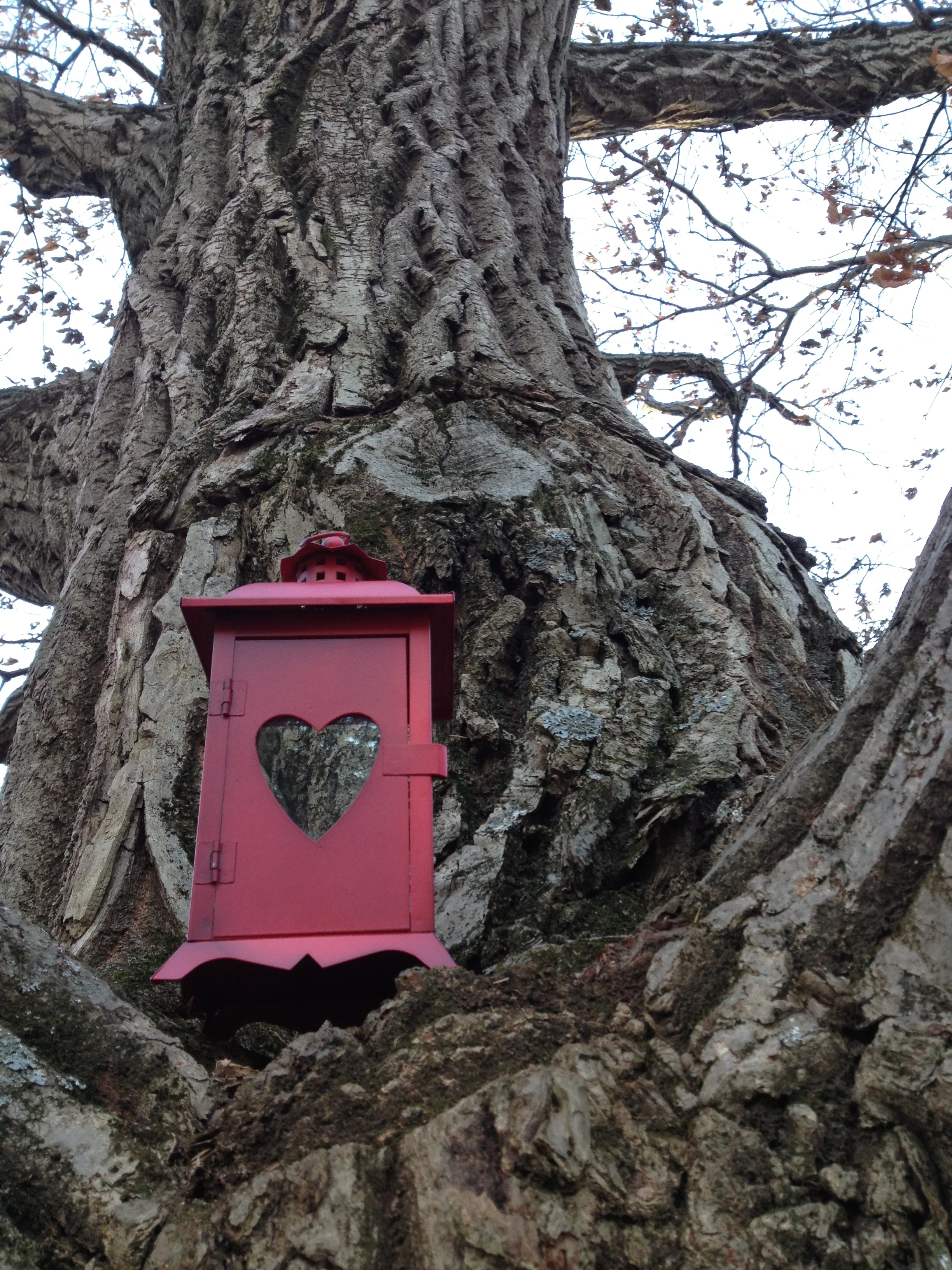 Empowered Light Expo