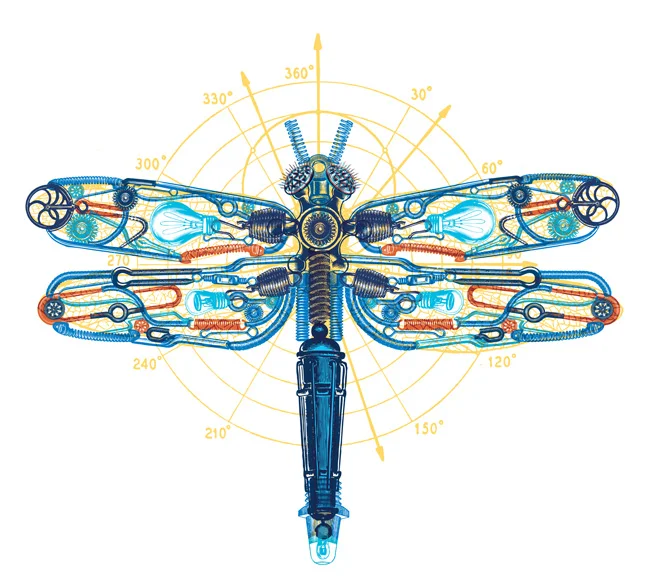 Meet Illustrator Carl Wiens