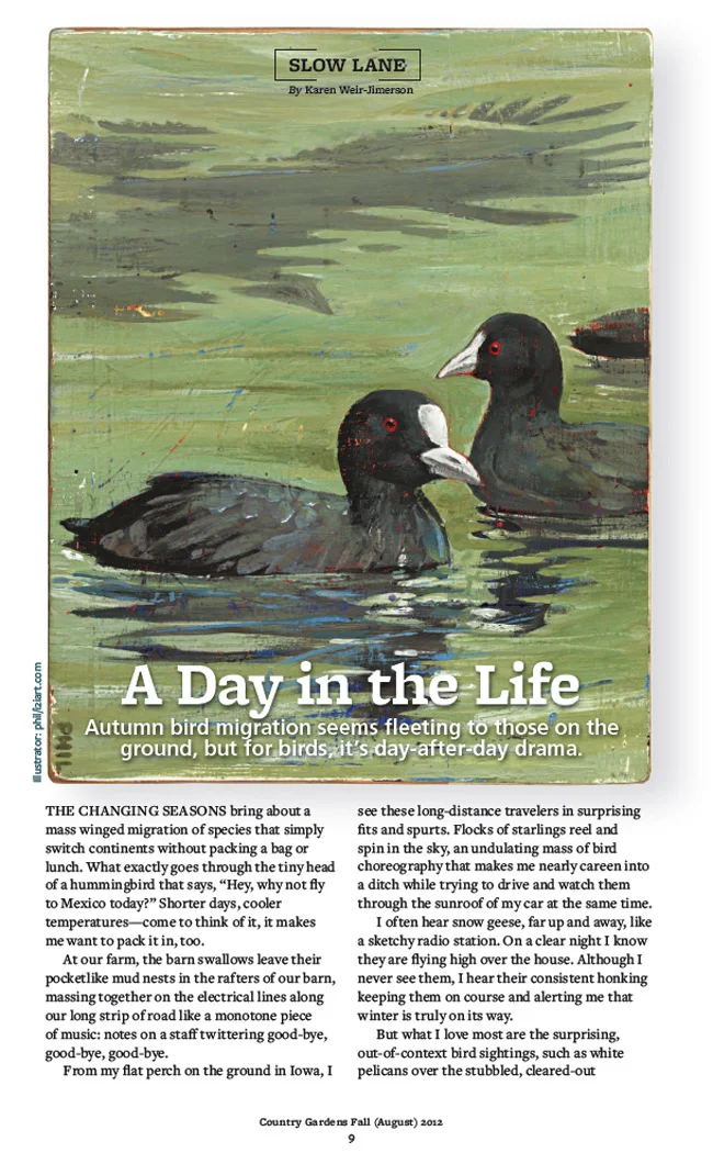 Phil for Country Gardens