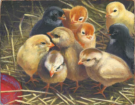 Phil for Country Gardens