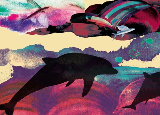 "Call it Courage" boldly illustrated by Eili-Kaija Kuusniemi