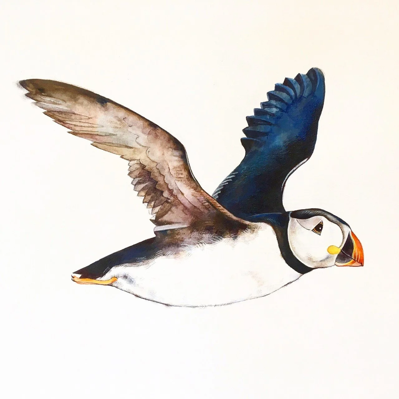 Talya Baldwin illustrates Not the End of the World