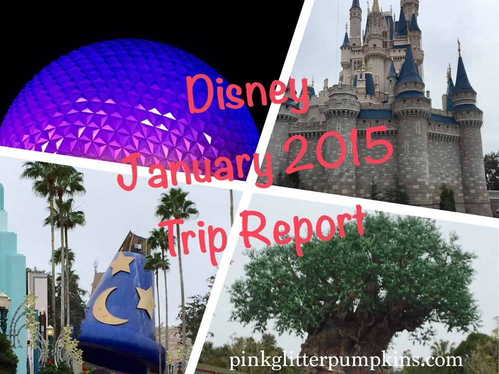 Disney January 2015 Trip Report