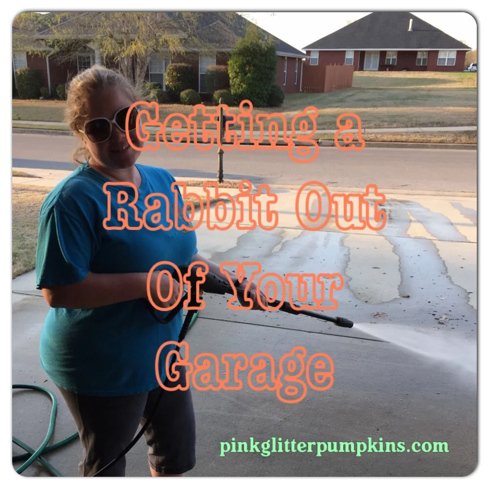 Getting a Rabbit Out of Your Garage
