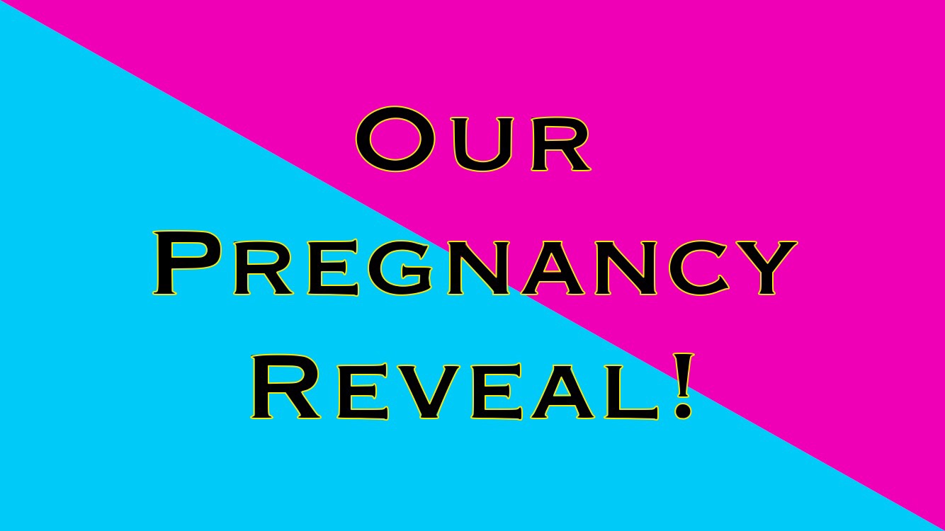 Our Pregnancy Reveal!
