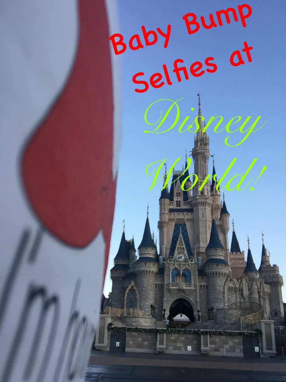 Baby Bump Selfies at Disney World!