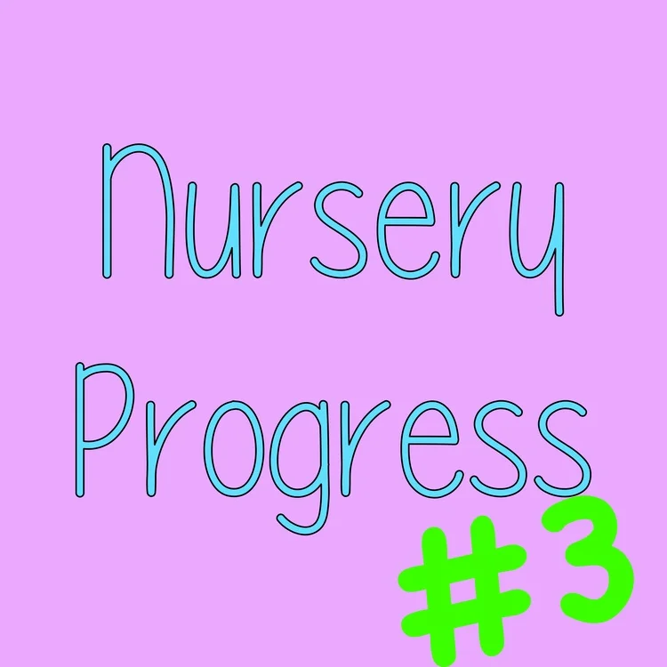 Nursery Progress Part 3