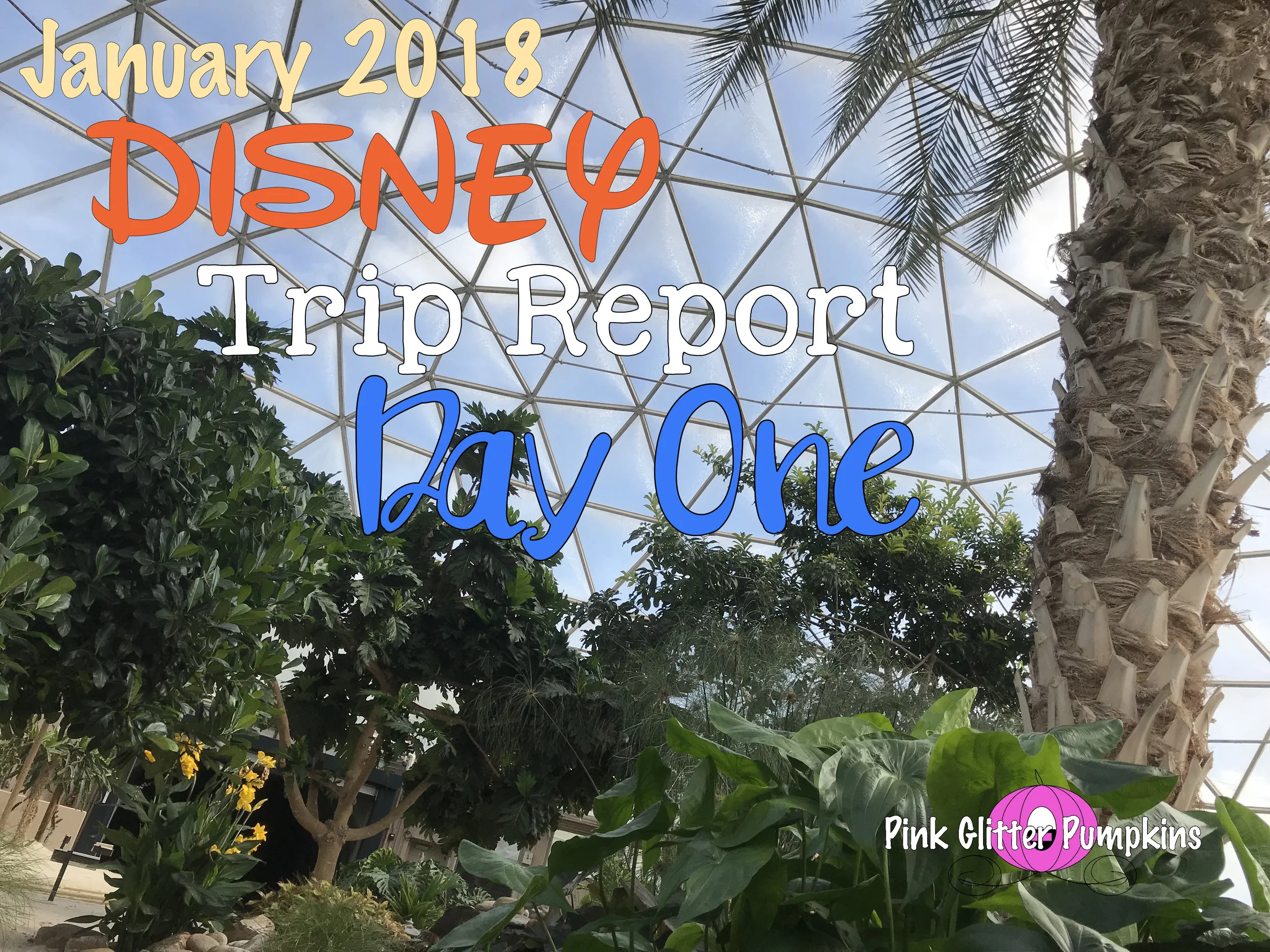 January 2018 Disney Trip Report Day One