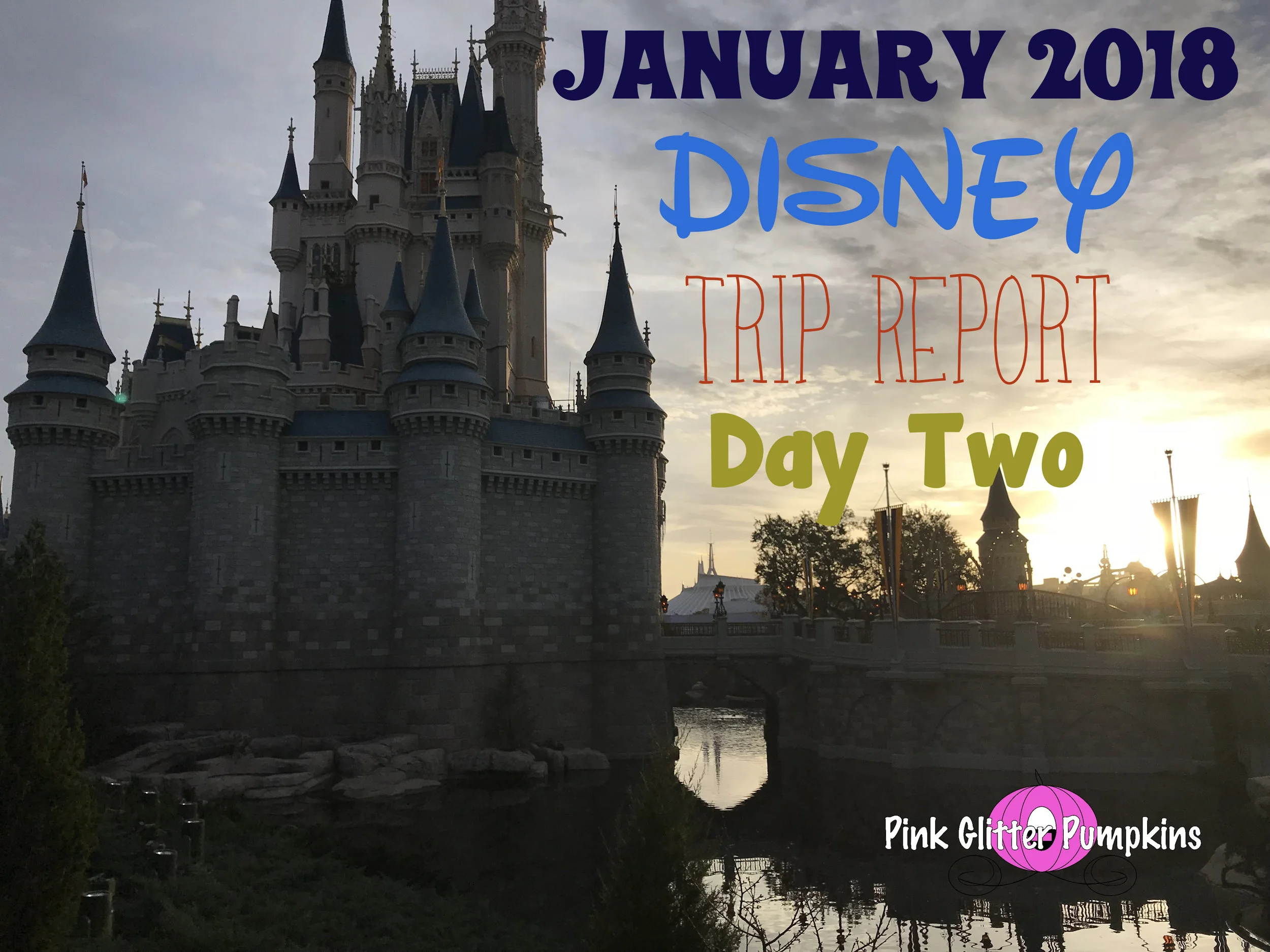 January 2018 Disney Trip Report Day Two