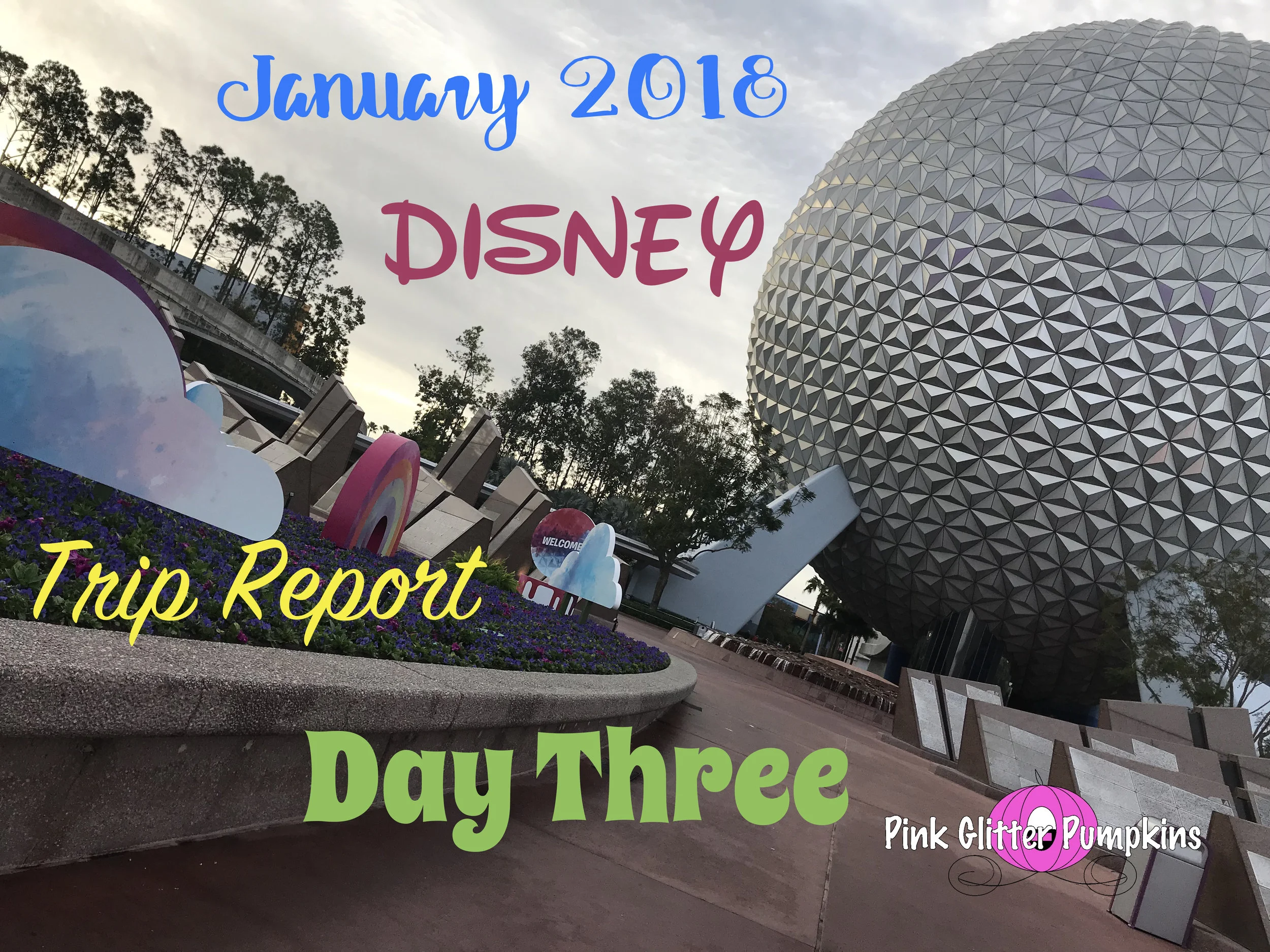 January 2018 Disney Trip Report Day Three