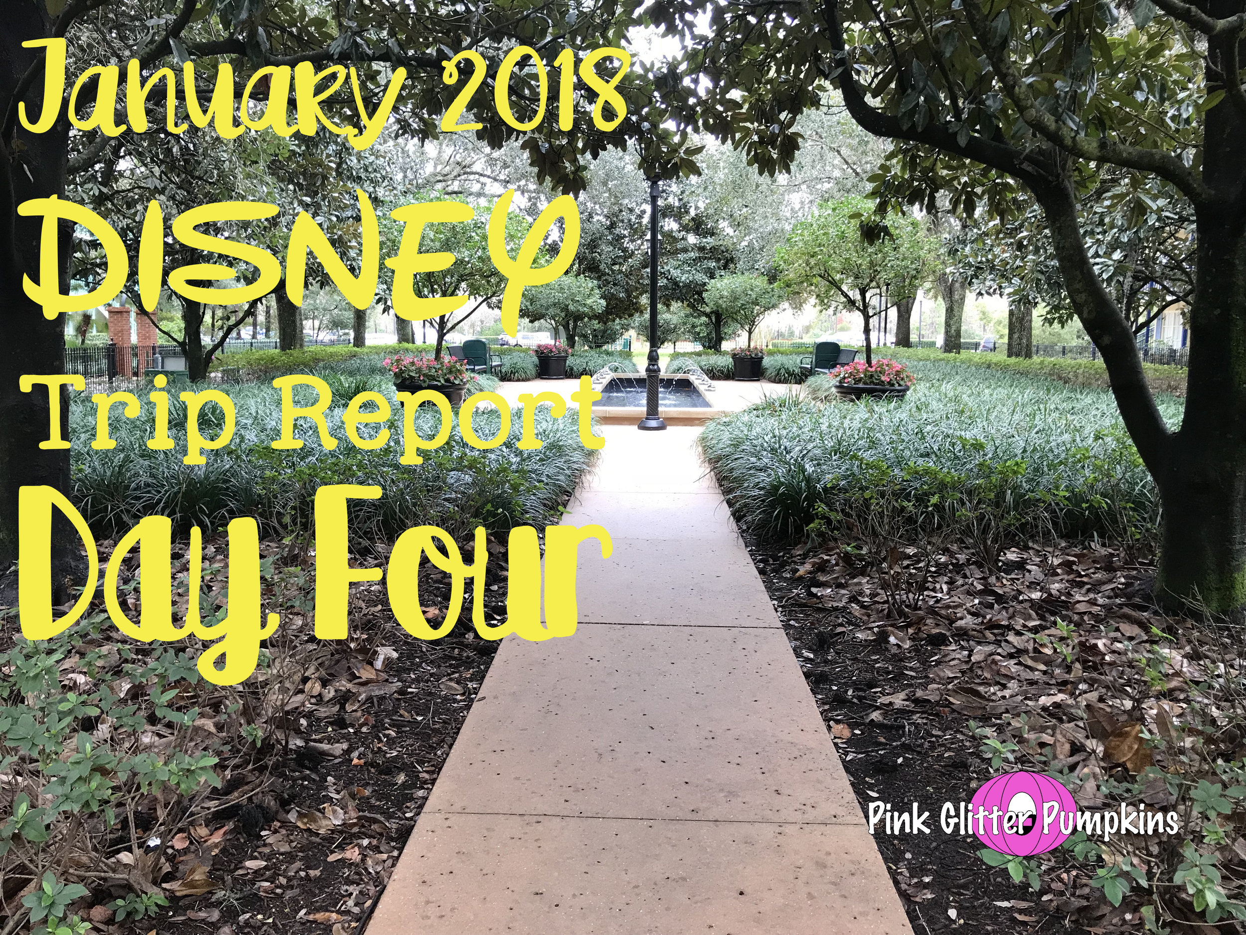 January 2018 Disney Trip Report Day Four