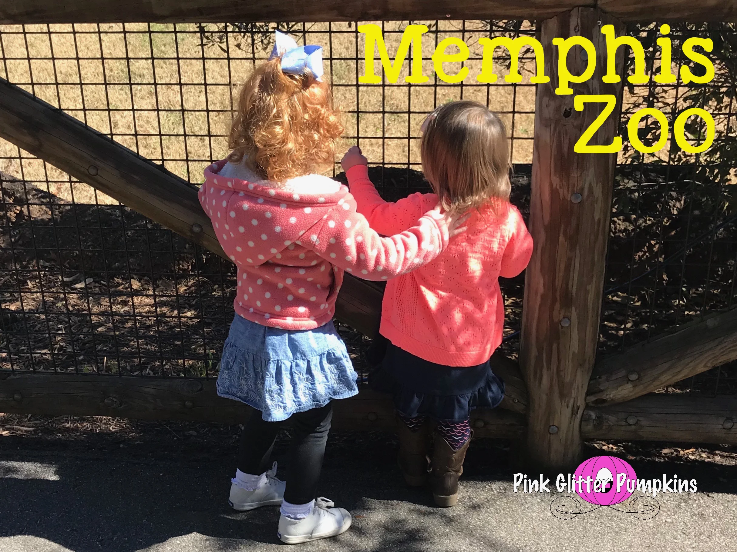 Memphis Zoo