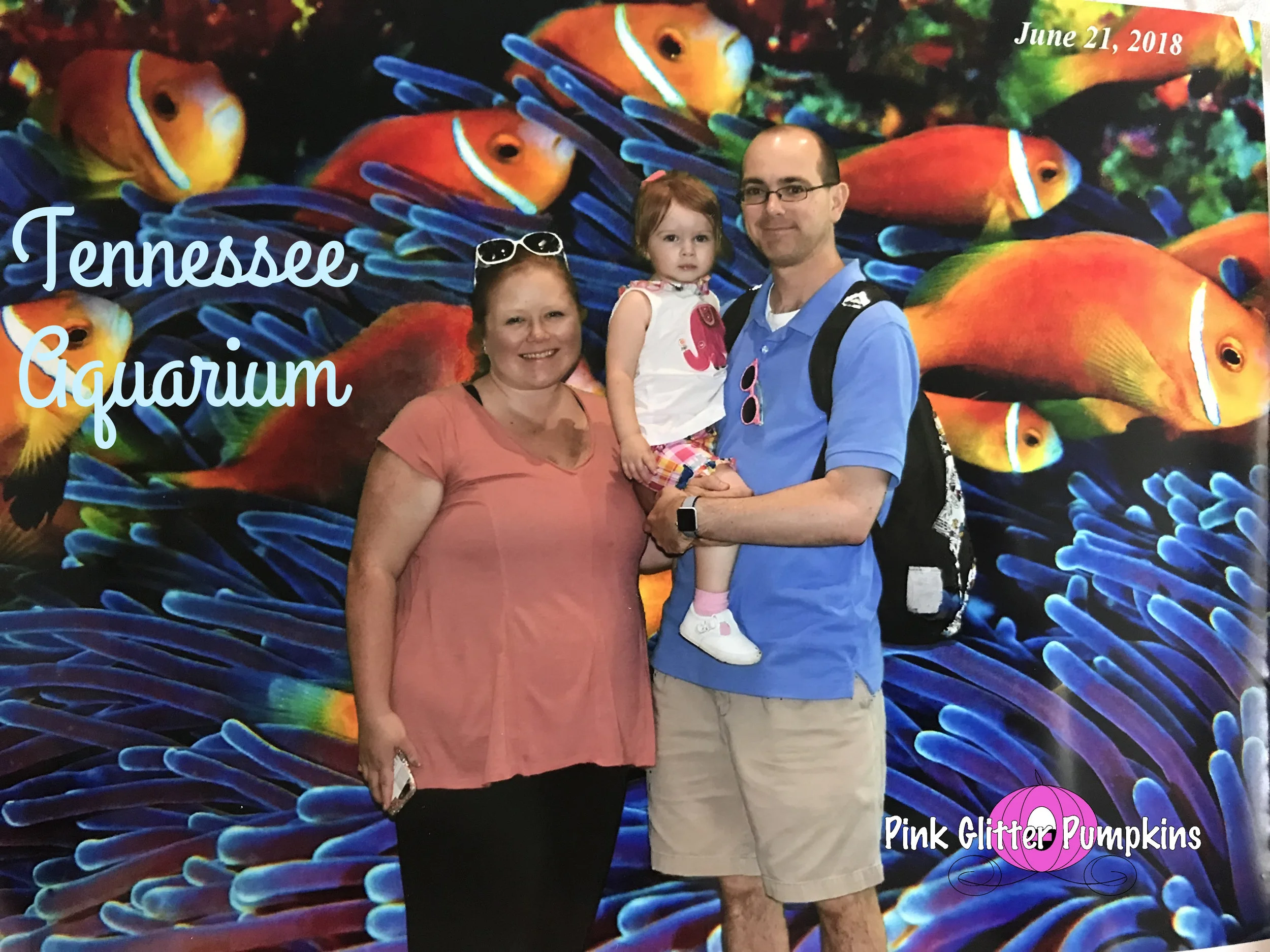 Tennessee Aquarium