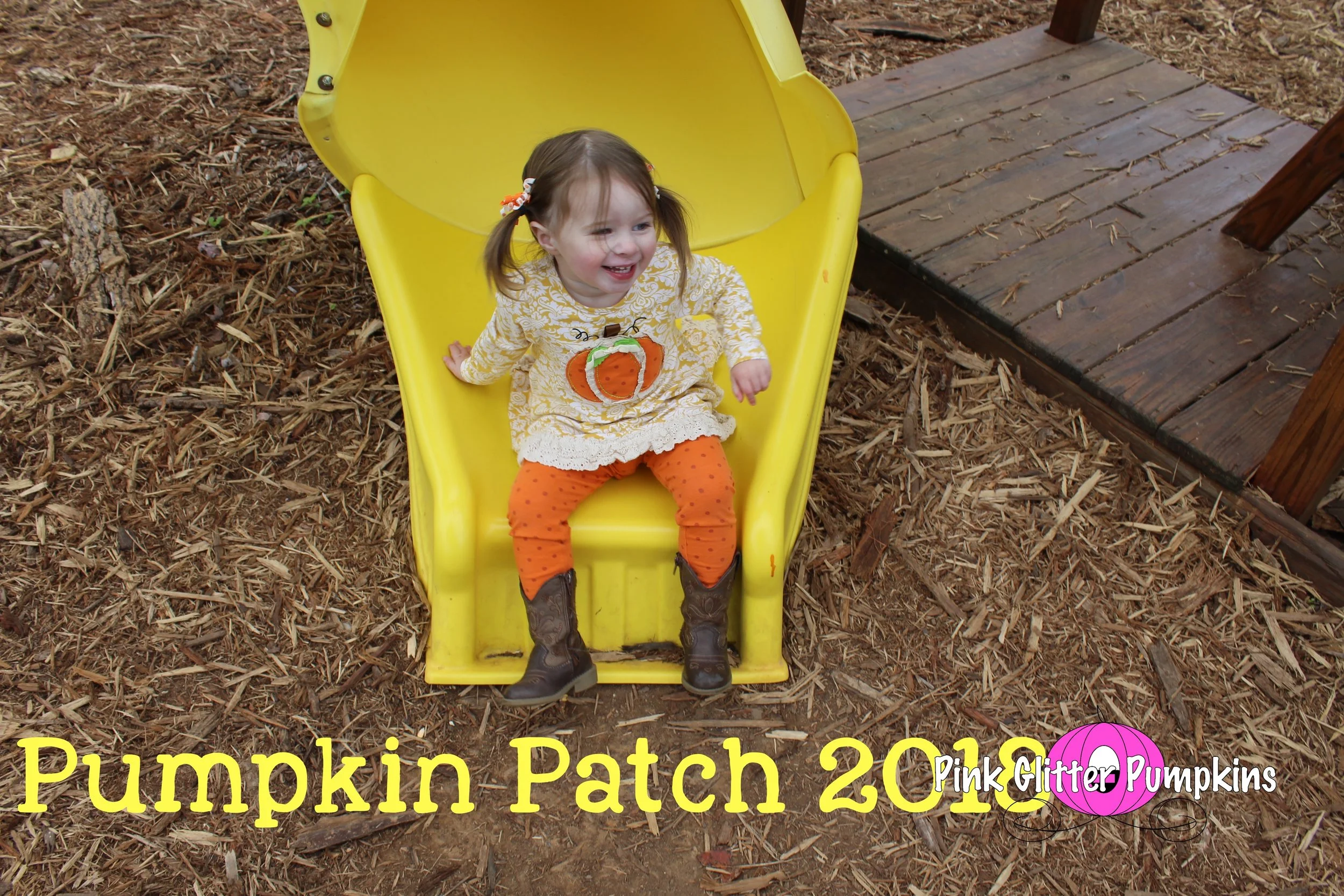 Pumpkin Patch 2018