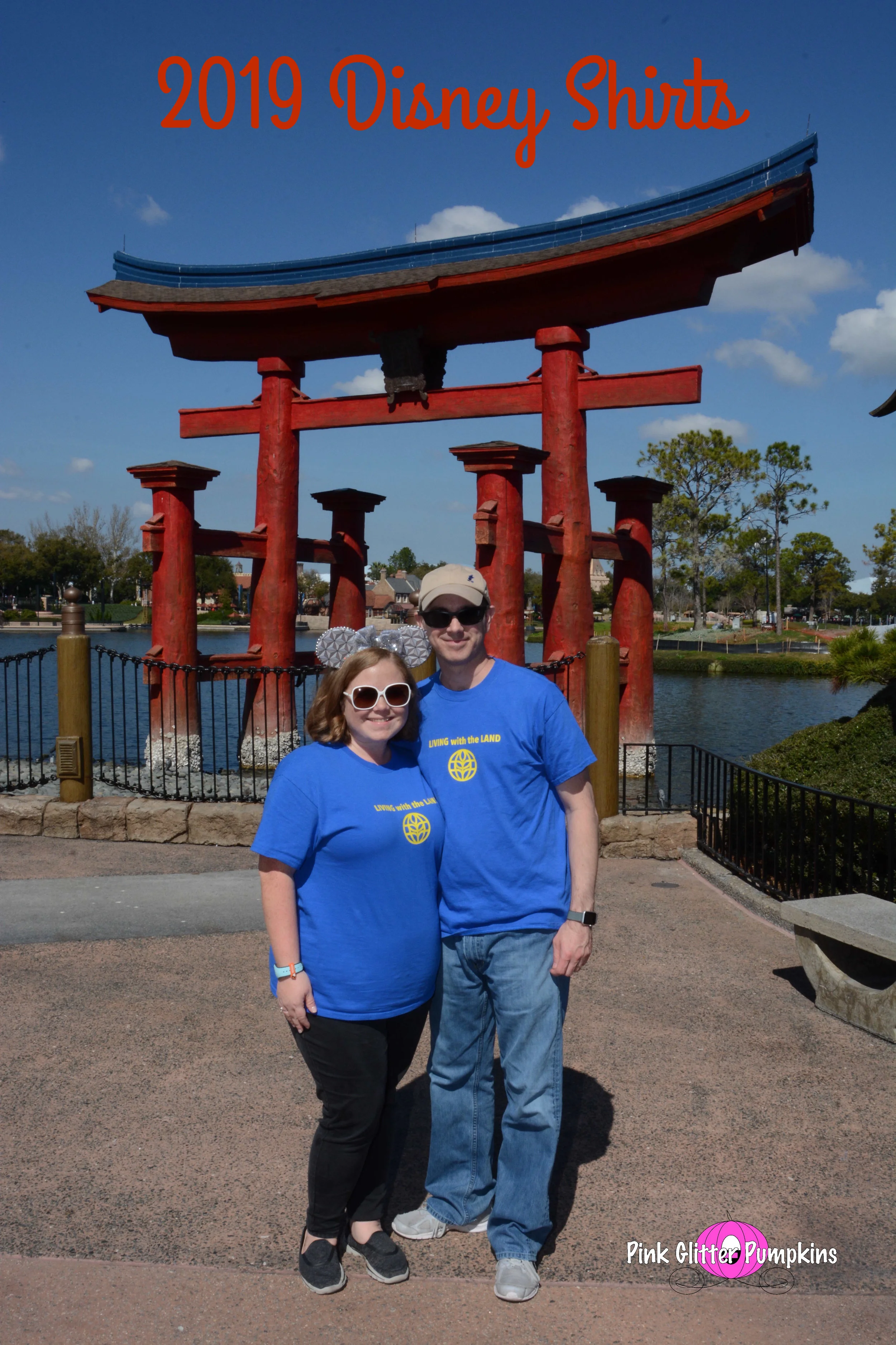 2019 Disney Shirts