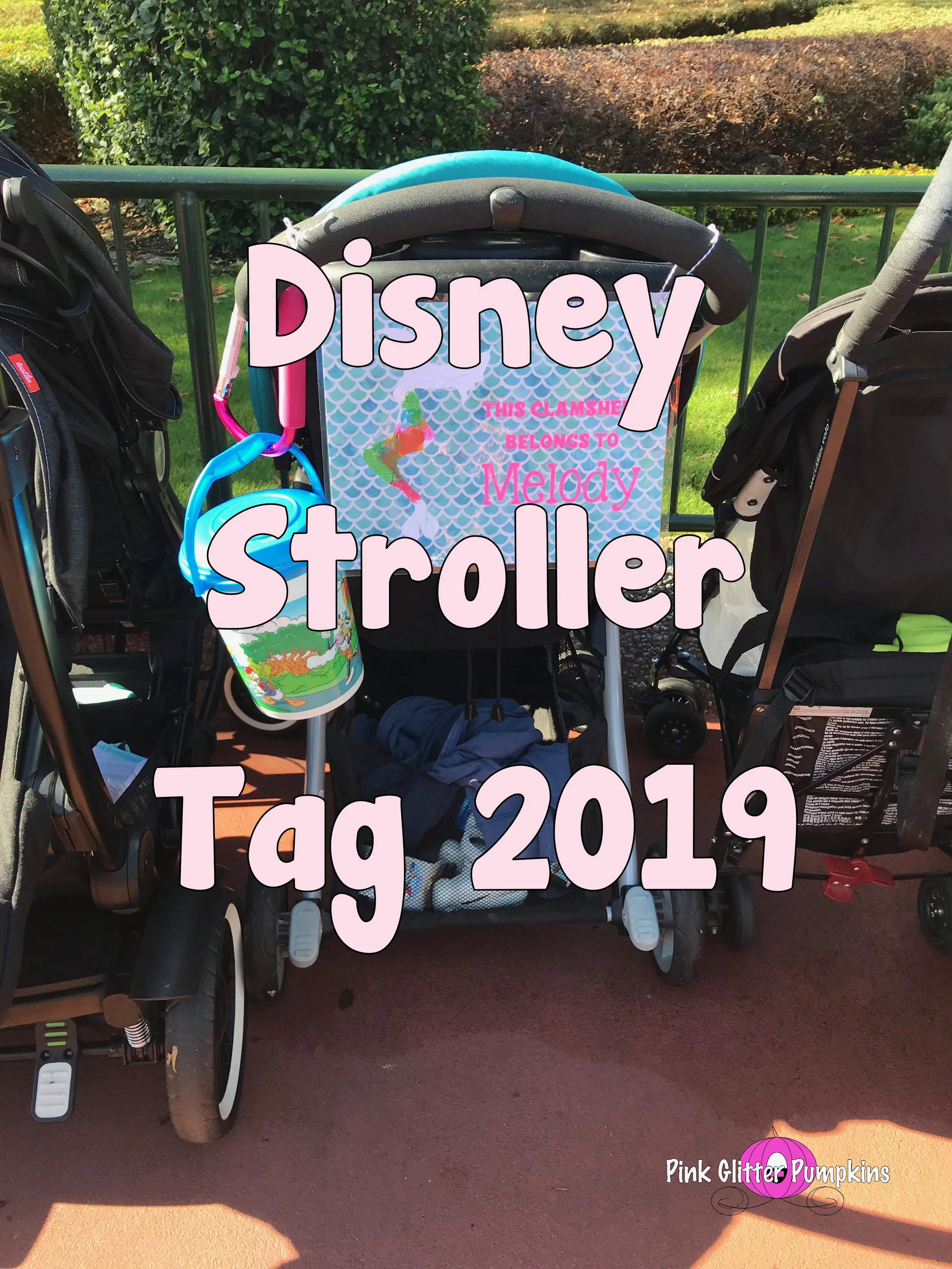 Disney Stroller Tag 2019