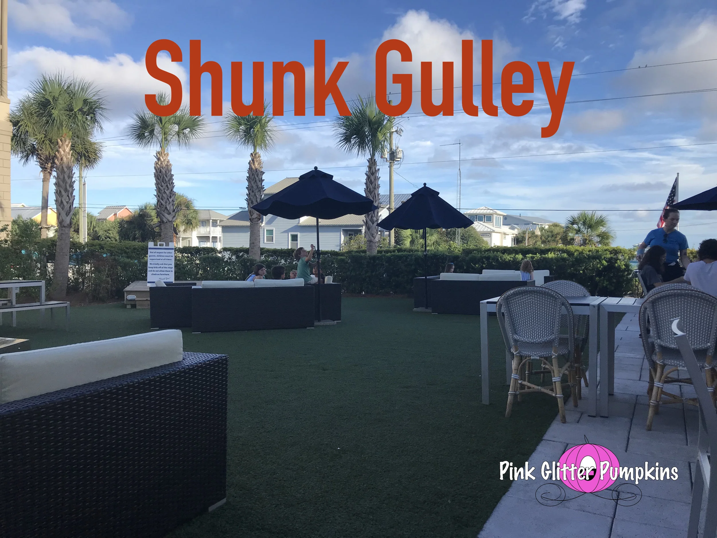 Shunk Gulley