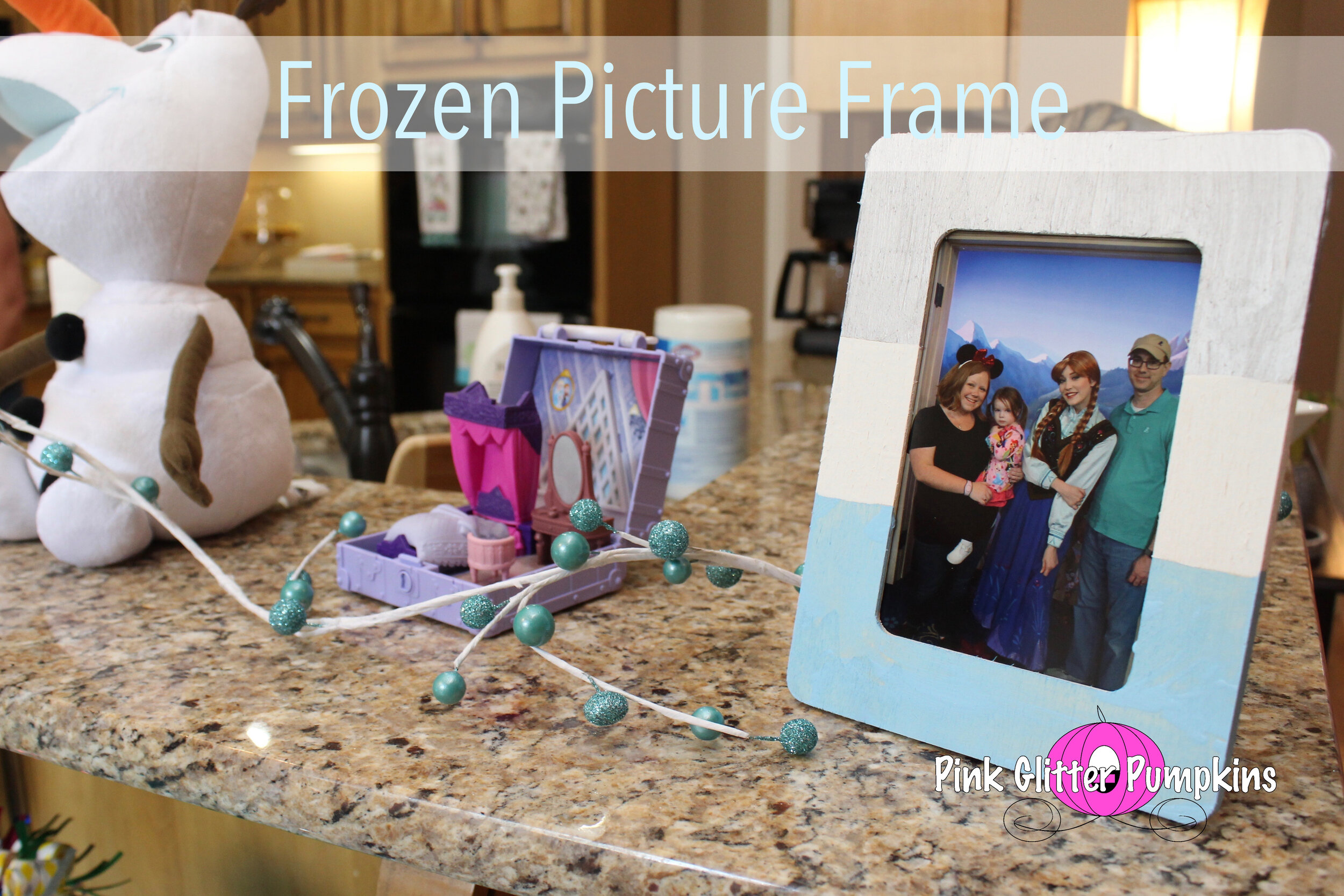 Frozen Picture Frame