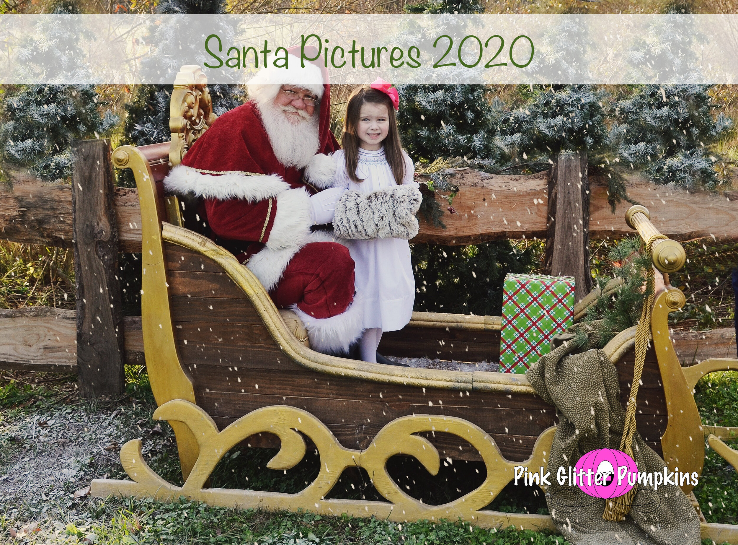 Santa Pictures 2020