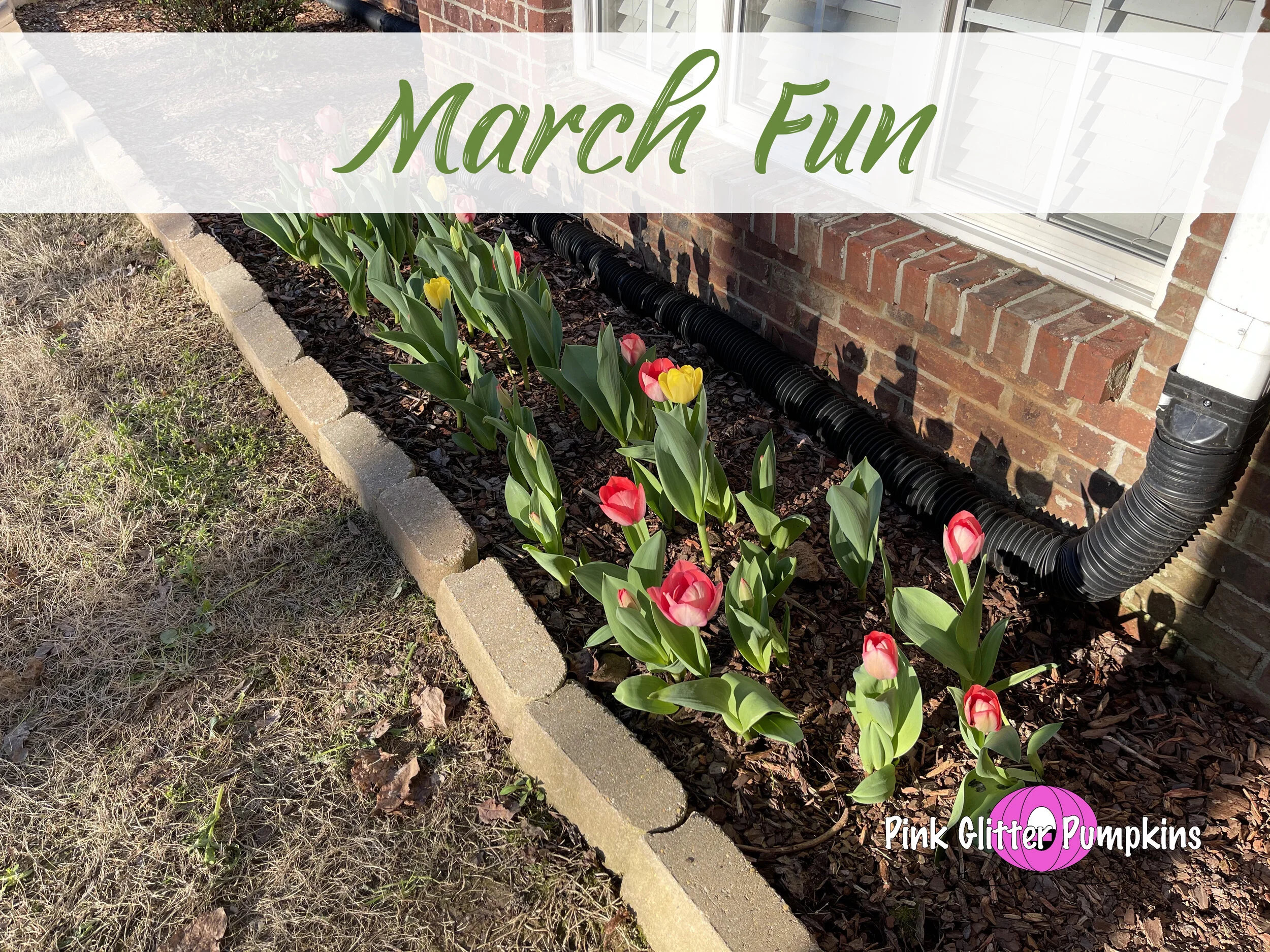 March Fun