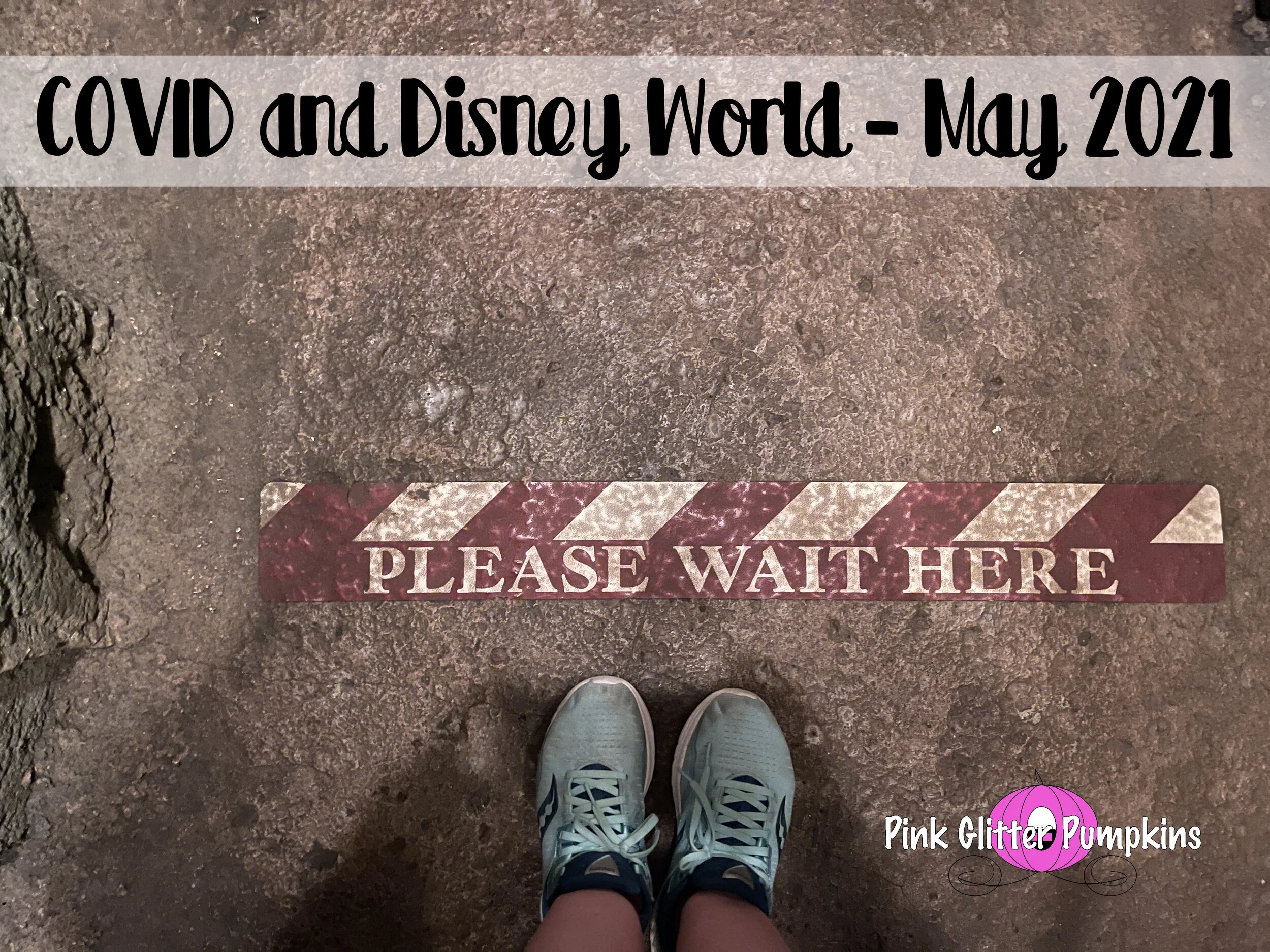 COVID and Disney World - May 2021