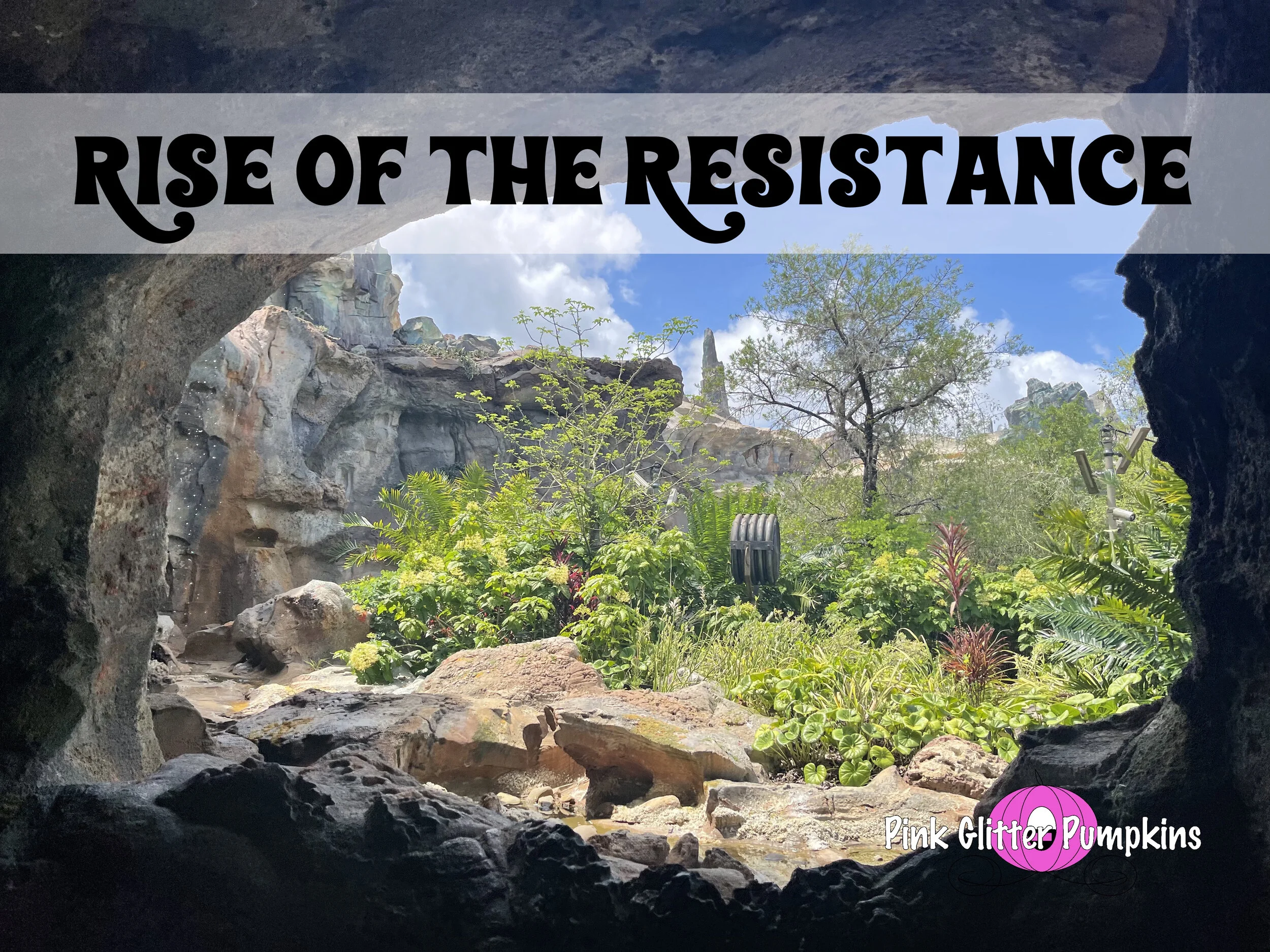 Rise of the Resistance