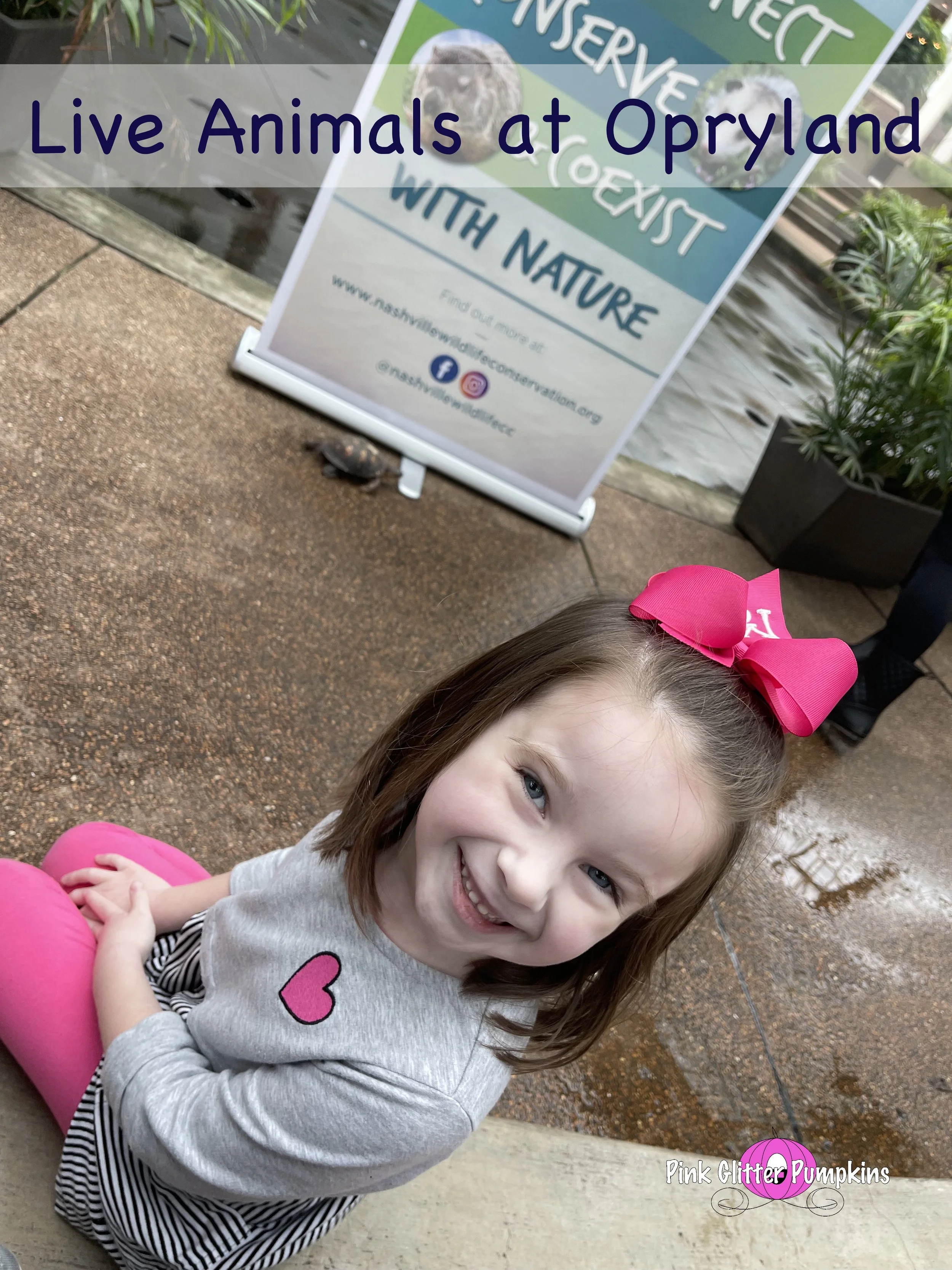Live Animals at Opryland