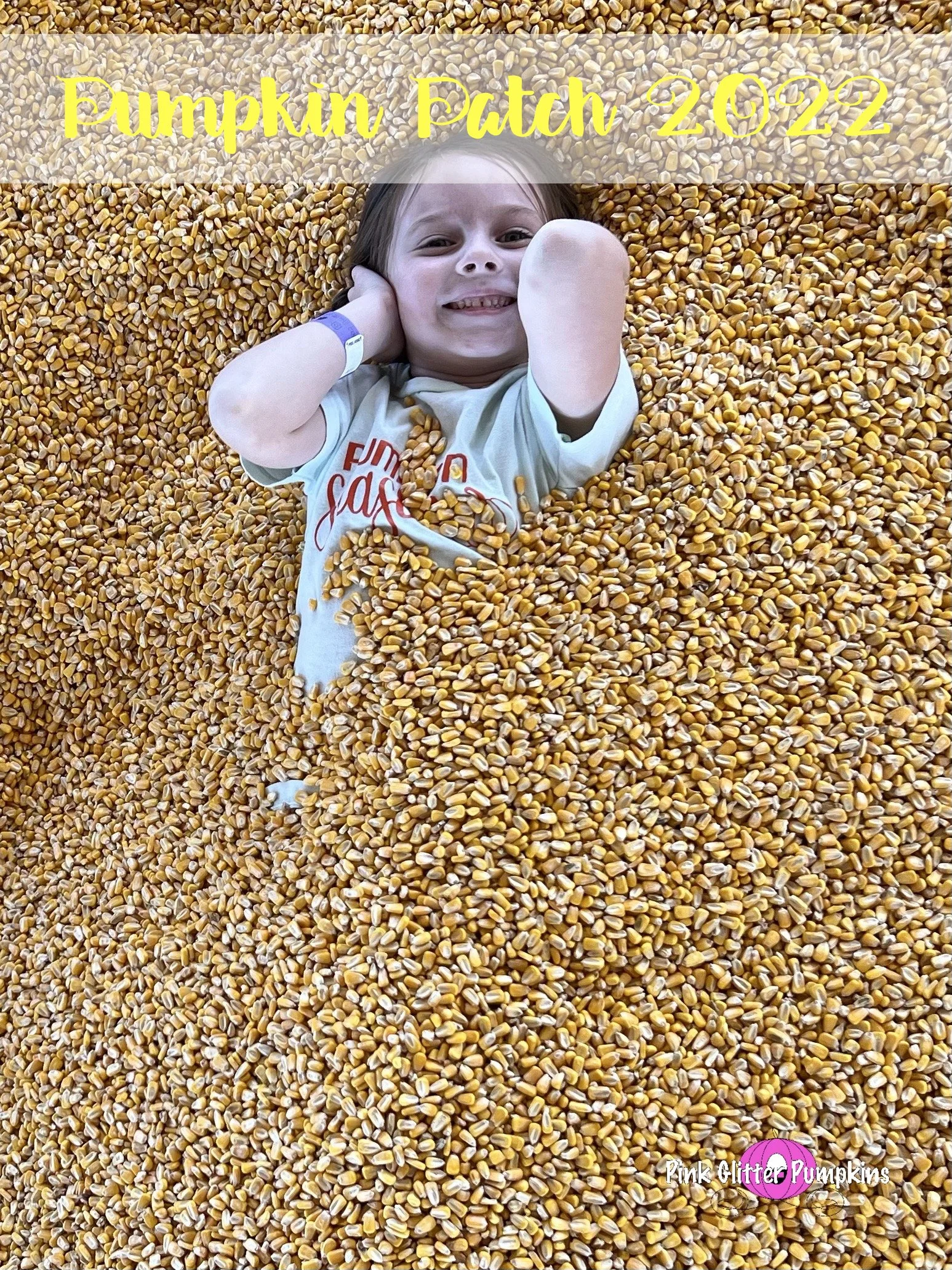 Pumpkin Patch 2022